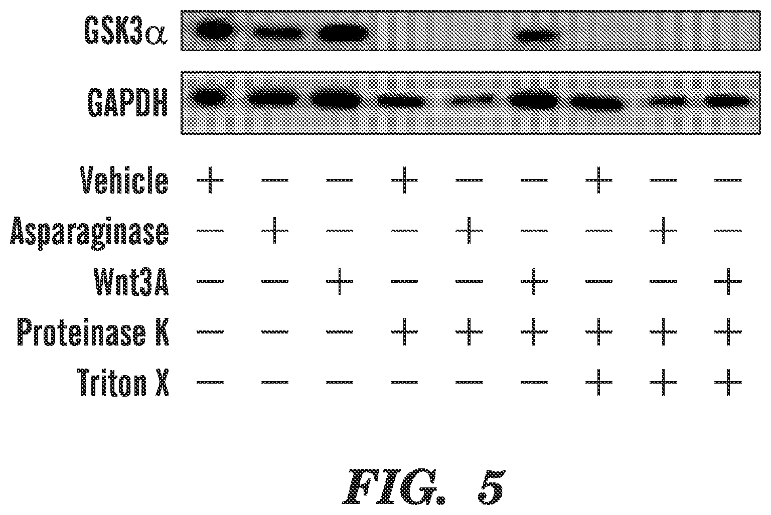 Patent US12590966 Figure 6 – Method for treating cancer