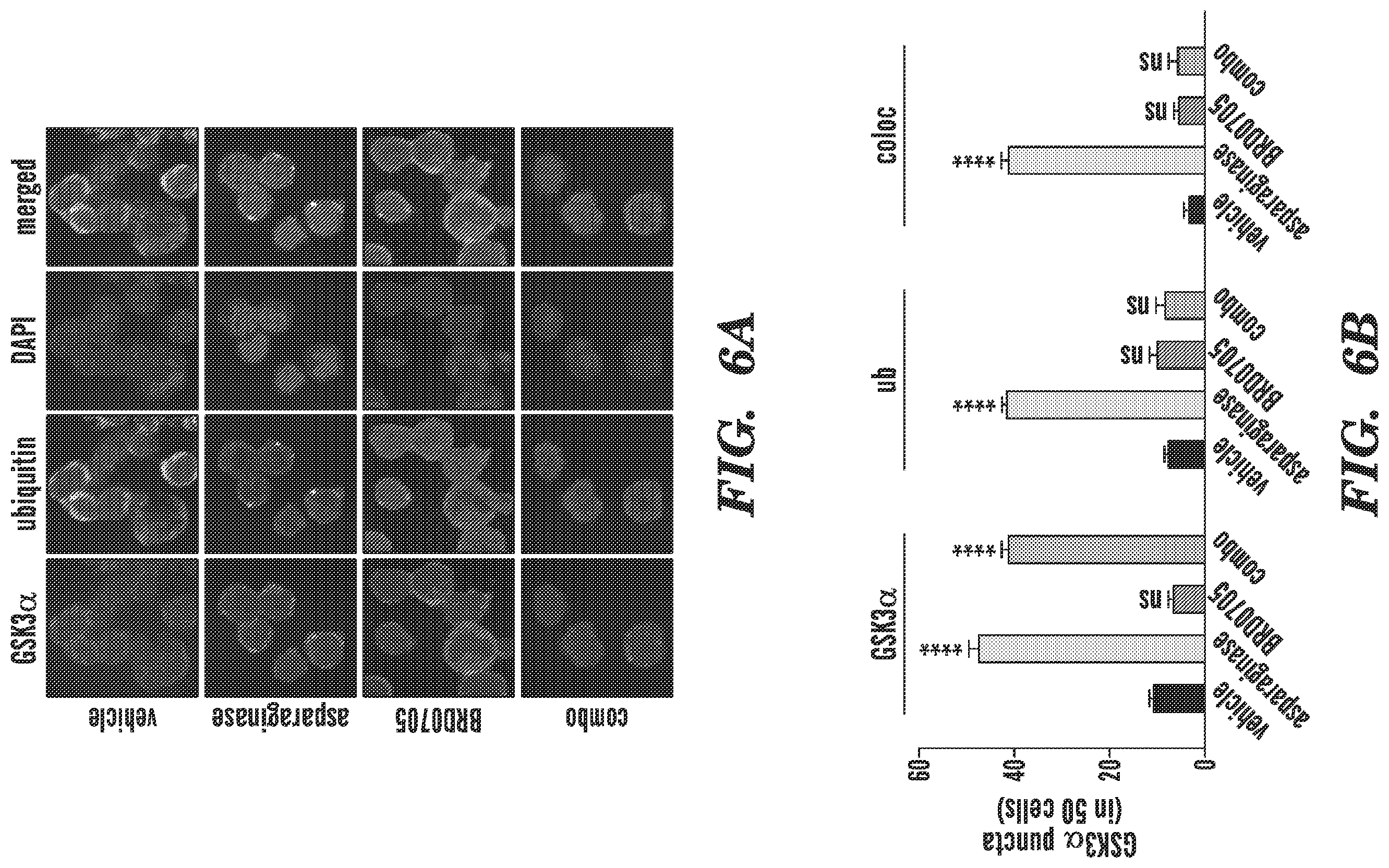 Patent US12590966 Figure 7 – Method for treating cancer