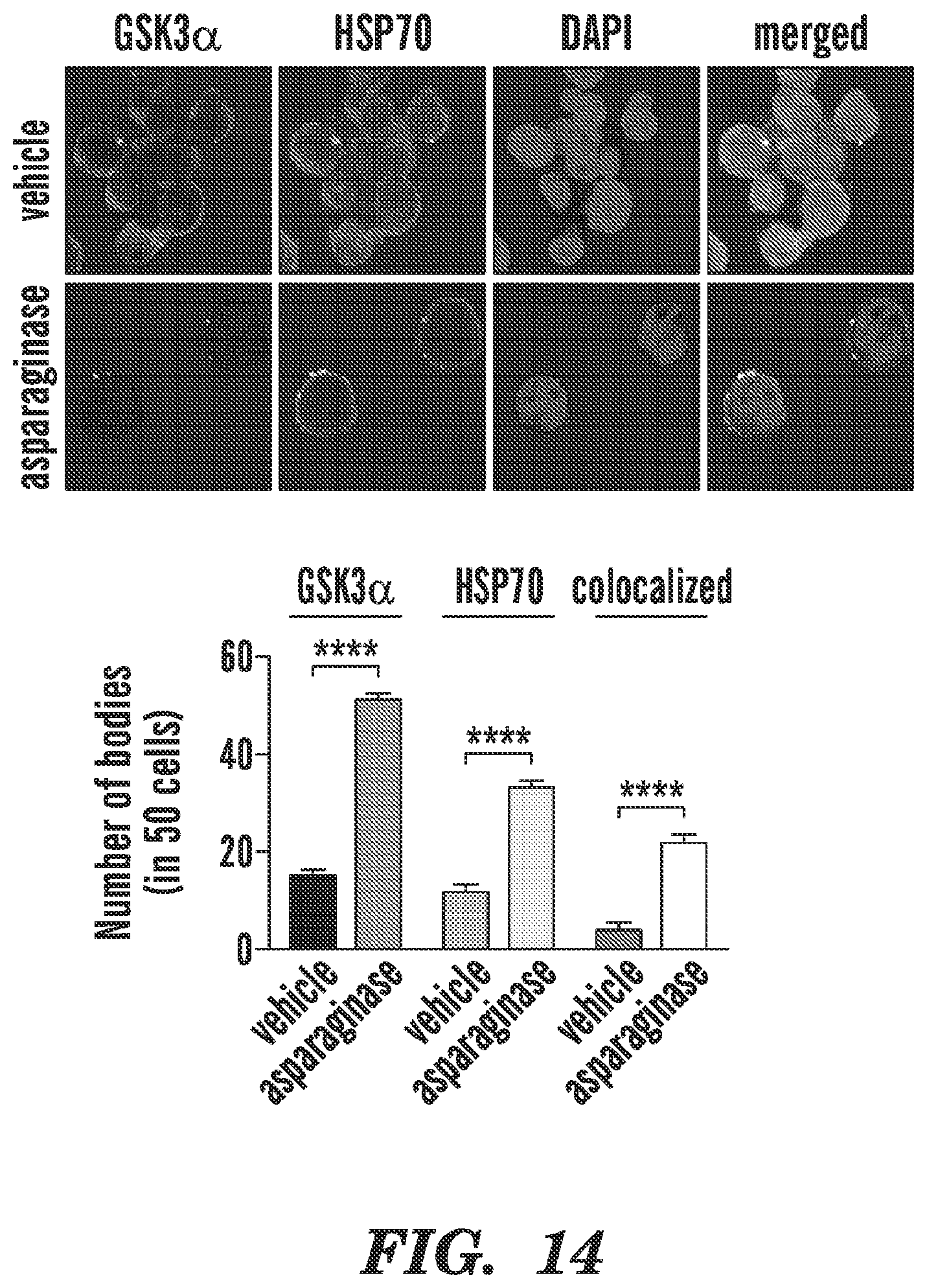 Patent US12590966 Figure 16 – Method for treating cancer