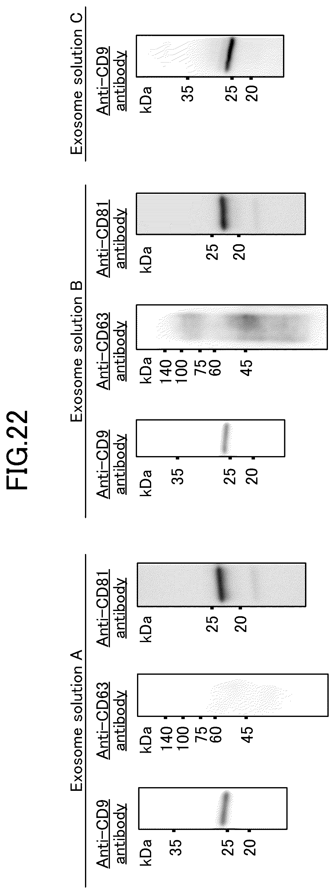 Patent US12590967 Figure 11 – Method for detecting particulate substance using immunochromatography, and kit for same