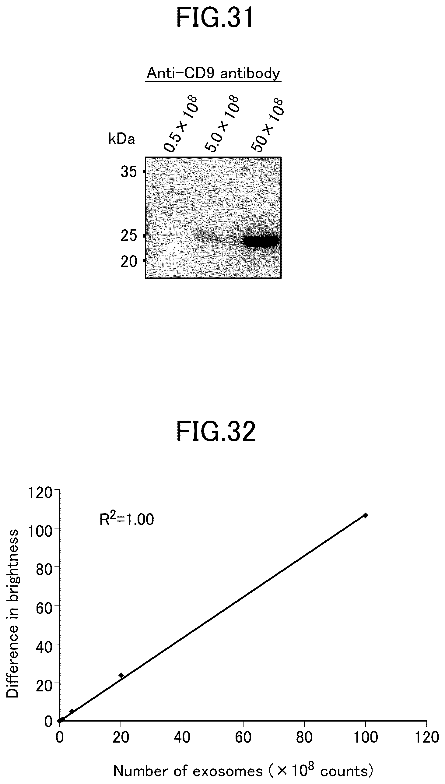 Patent US12590967 Figure 16 – Method for detecting particulate substance using immunochromatography, and kit for same