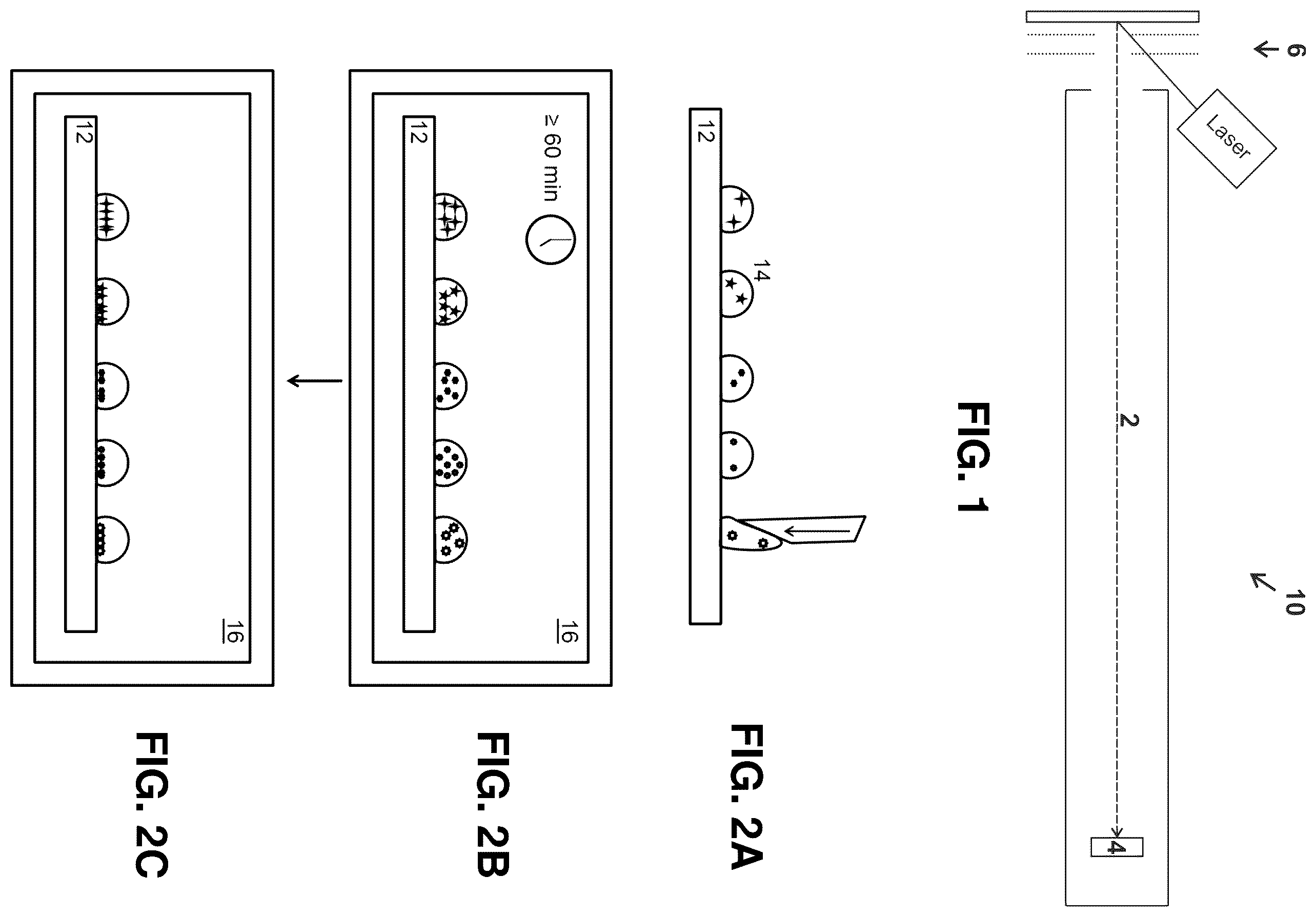 Patent US12590971 Figure 1 – Preparing live microbial samples and microorganisms for subsequent mass spectrometric measurement and evaluation