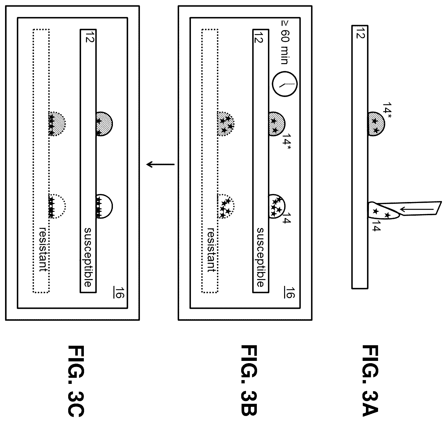 Patent US12590971 Figure 3 – Preparing live microbial samples and microorganisms for subsequent mass spectrometric measurement and evaluation