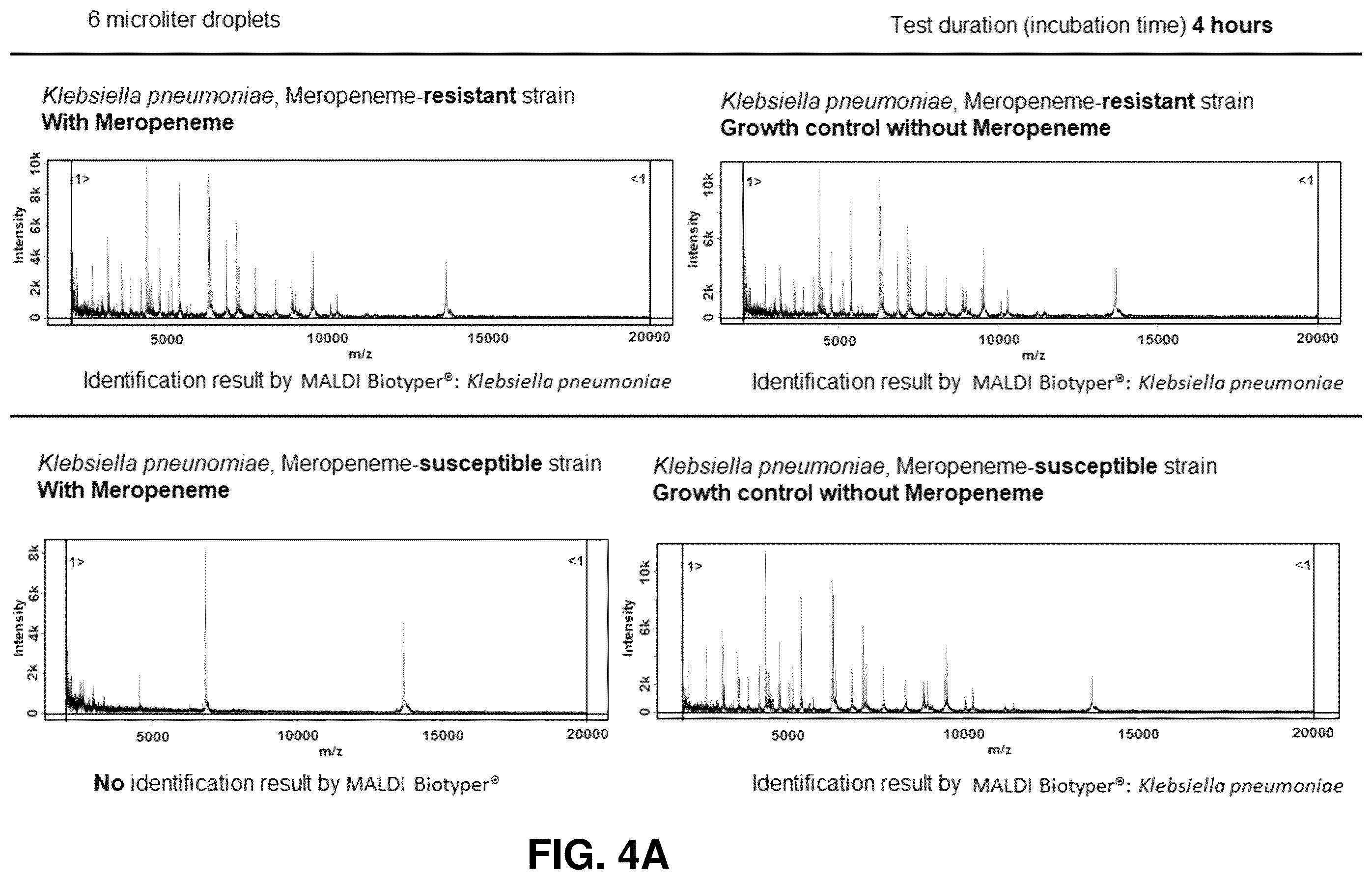 Patent US12590971 Figure 5 – Preparing live microbial samples and microorganisms for subsequent mass spectrometric measurement and evaluation