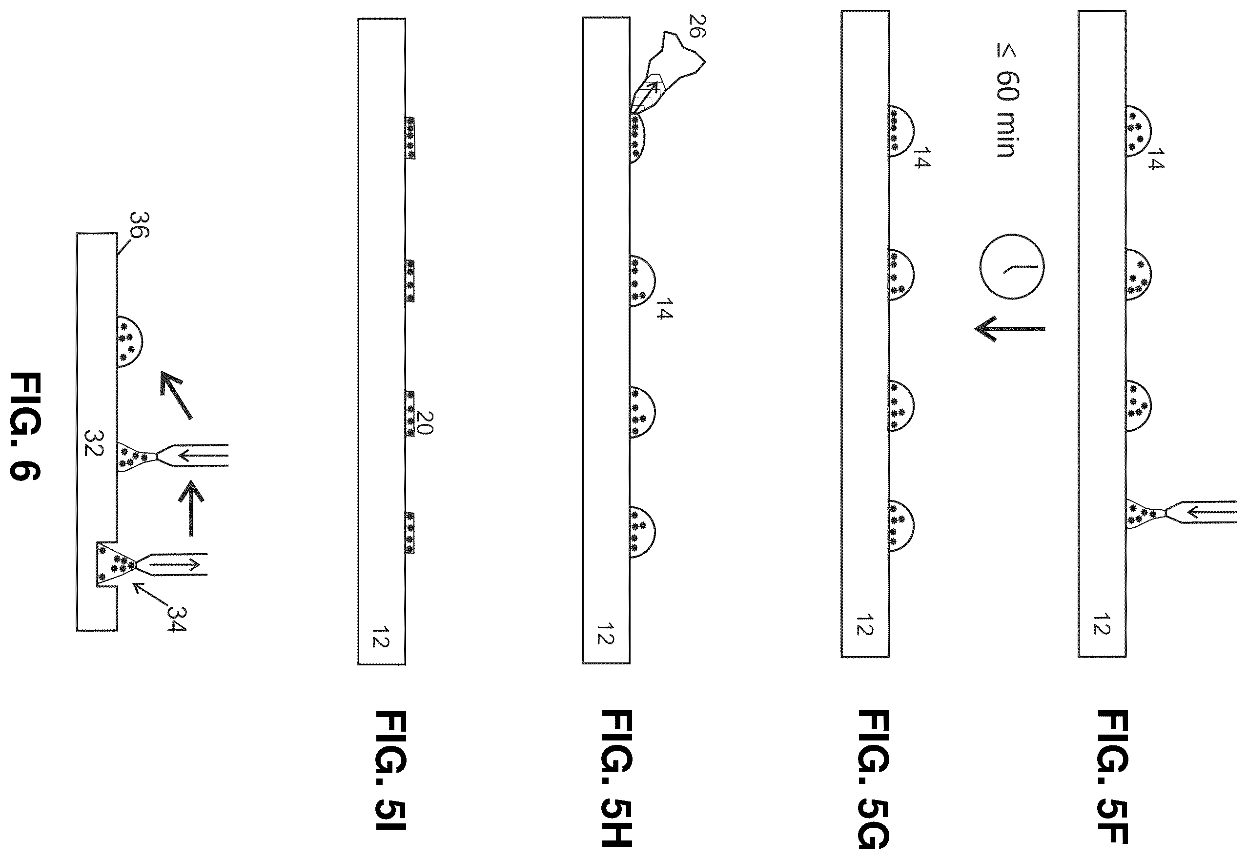 Patent US12590971 Figure 8 – Preparing live microbial samples and microorganisms for subsequent mass spectrometric measurement and evaluation