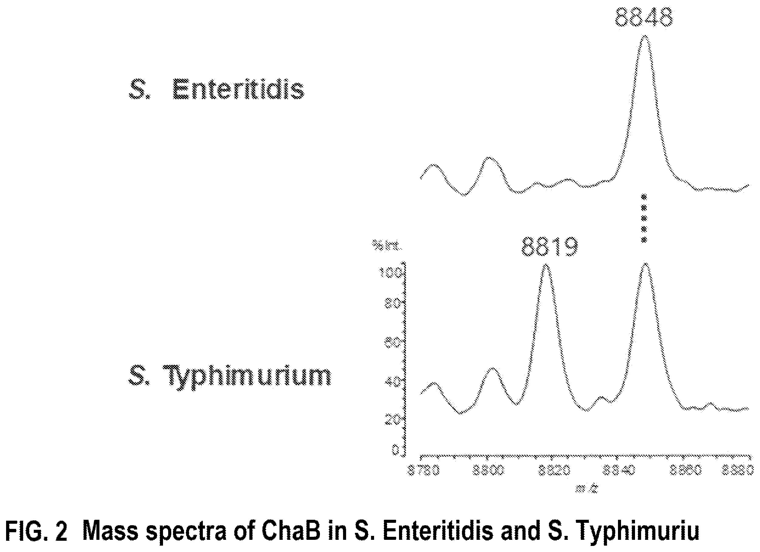 Patent US12590972 Figure 2 – Method for identifying marker for discriminating microorganism