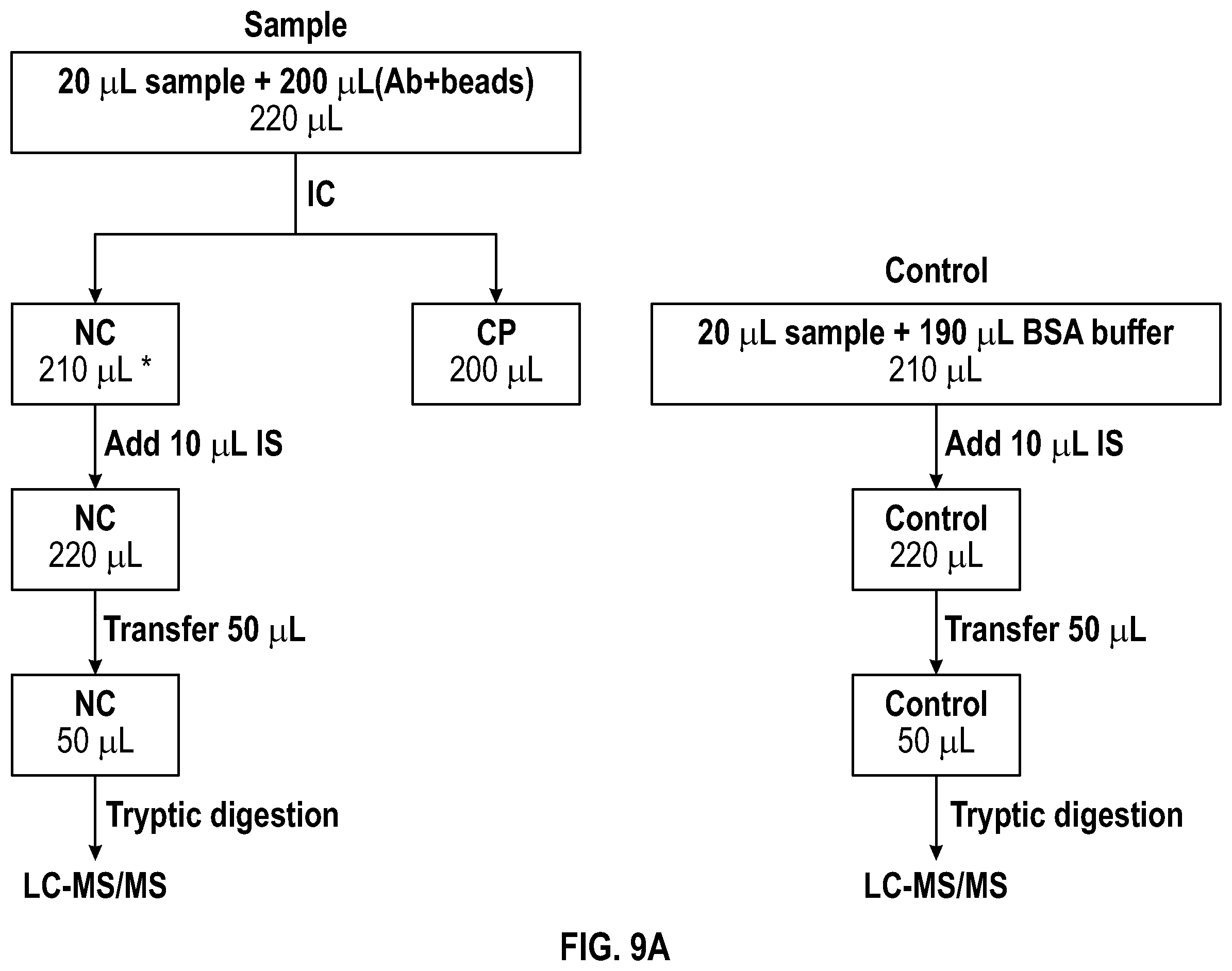 Patent US12590977 Figure 10 – Anti-ceruloplasmin antibodies and uses thereof