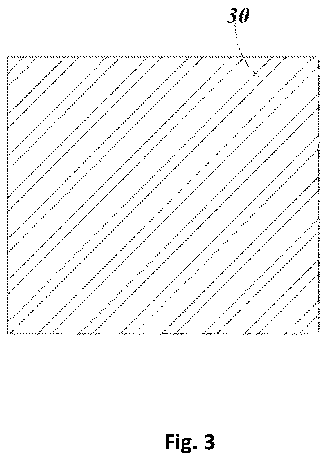 Patent US12591085 Figure 2 – Gallium nitride nano superstructure and preparation method thereof and gallium nitride-based laser