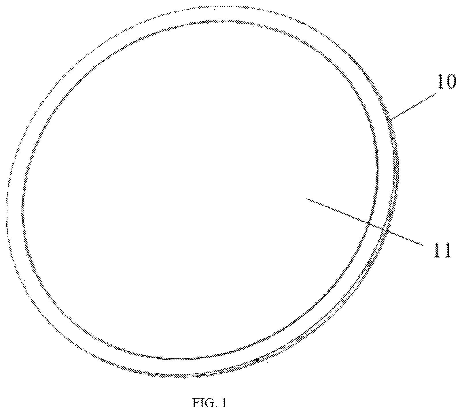 Patent US12591087 Figure 1 – Display module