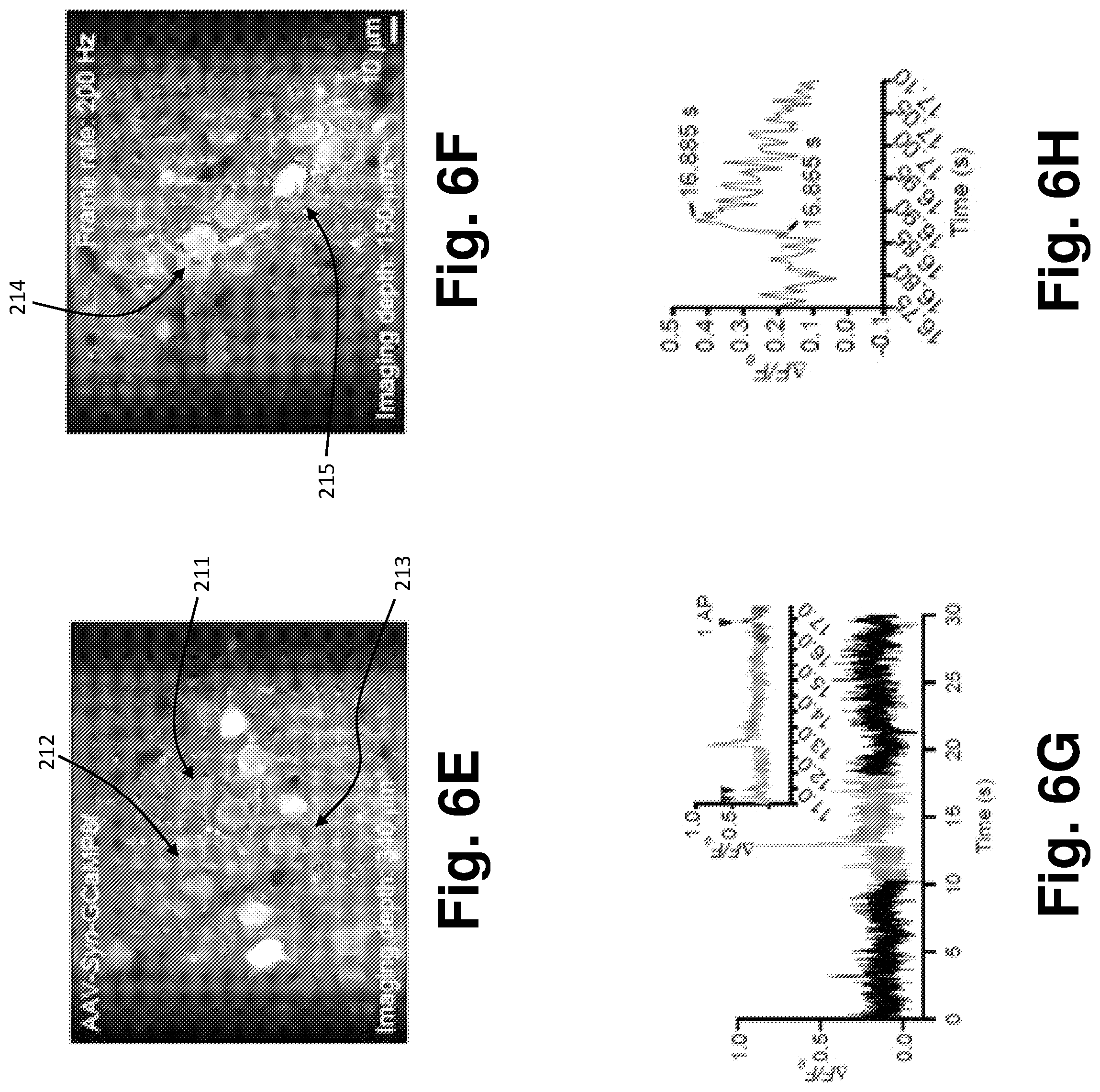 Patent US12591122 Figure 6 – Apparatuses and methods for high-speed laser scanning