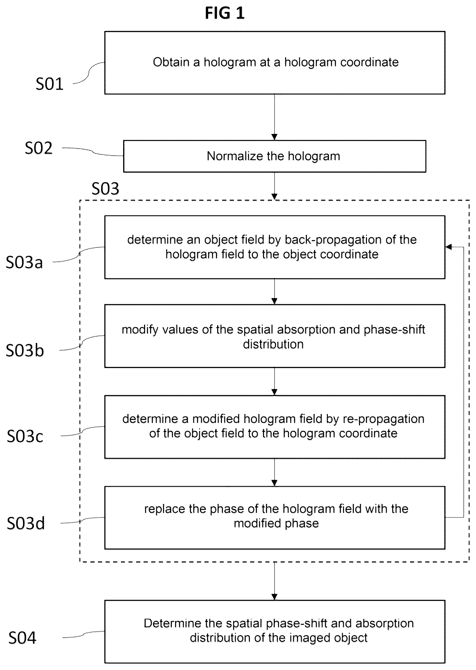 Patent US12591202 Figure 1 – Digital holographic imaging technique with twin image elimination