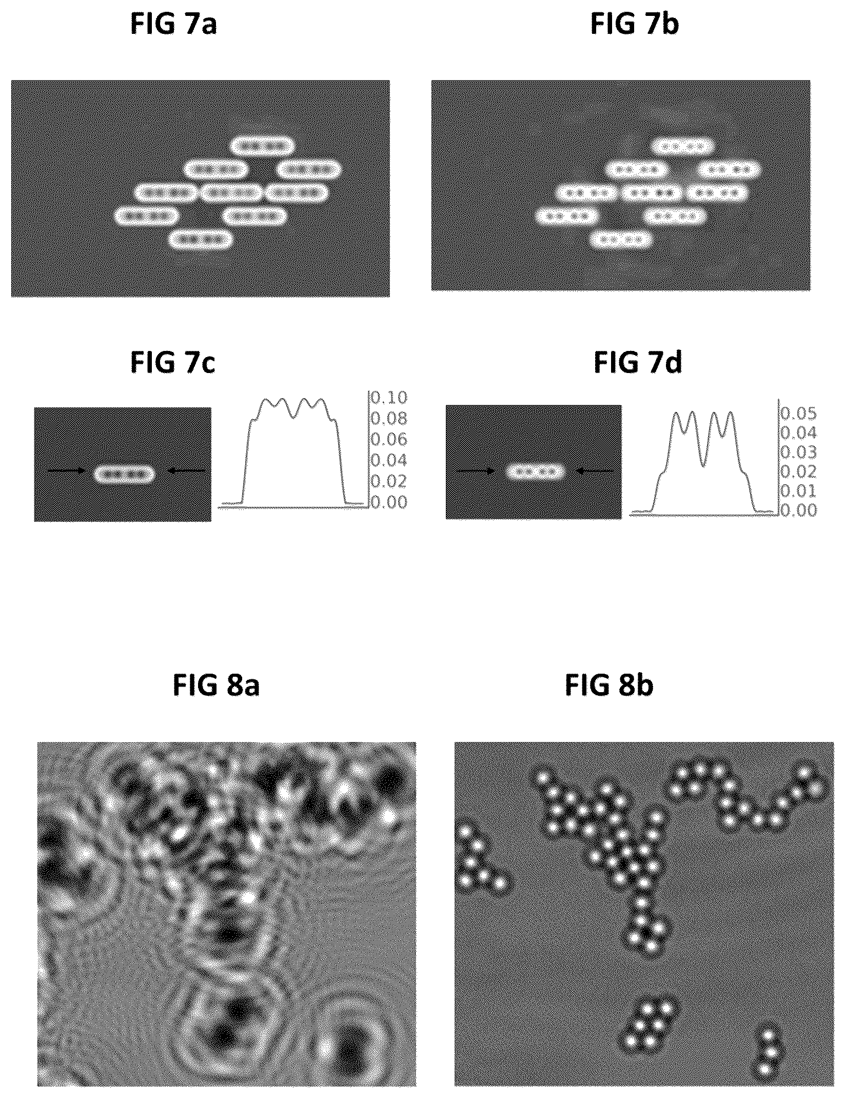 Patent US12591202 Figure 5 – Digital holographic imaging technique with twin image elimination