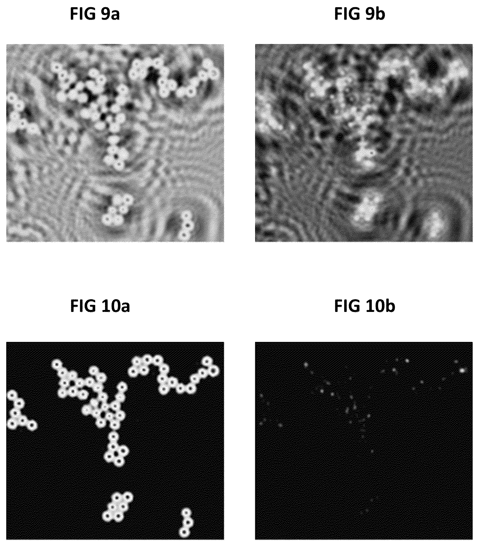 Patent US12591202 Figure 6 – Digital holographic imaging technique with twin image elimination