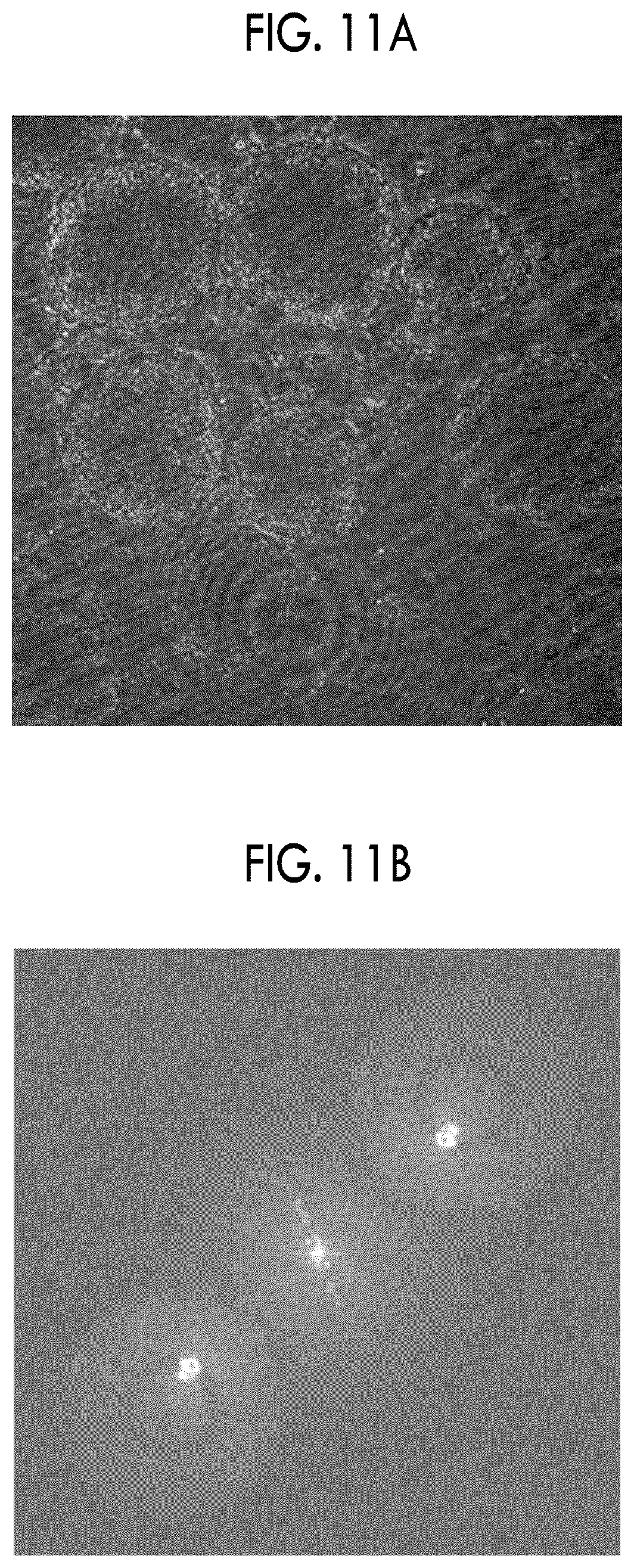 Patent US12591203 Figure 10 – Holography apparatus and cell evaluation method