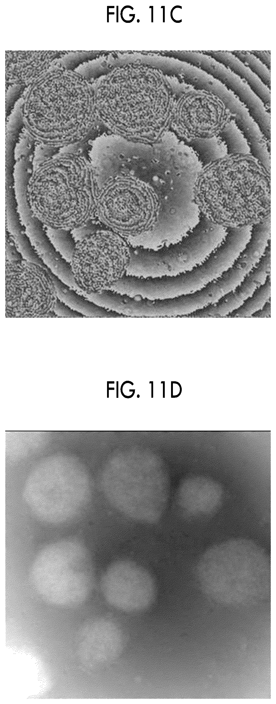 Patent US12591203 Figure 11 – Holography apparatus and cell evaluation method