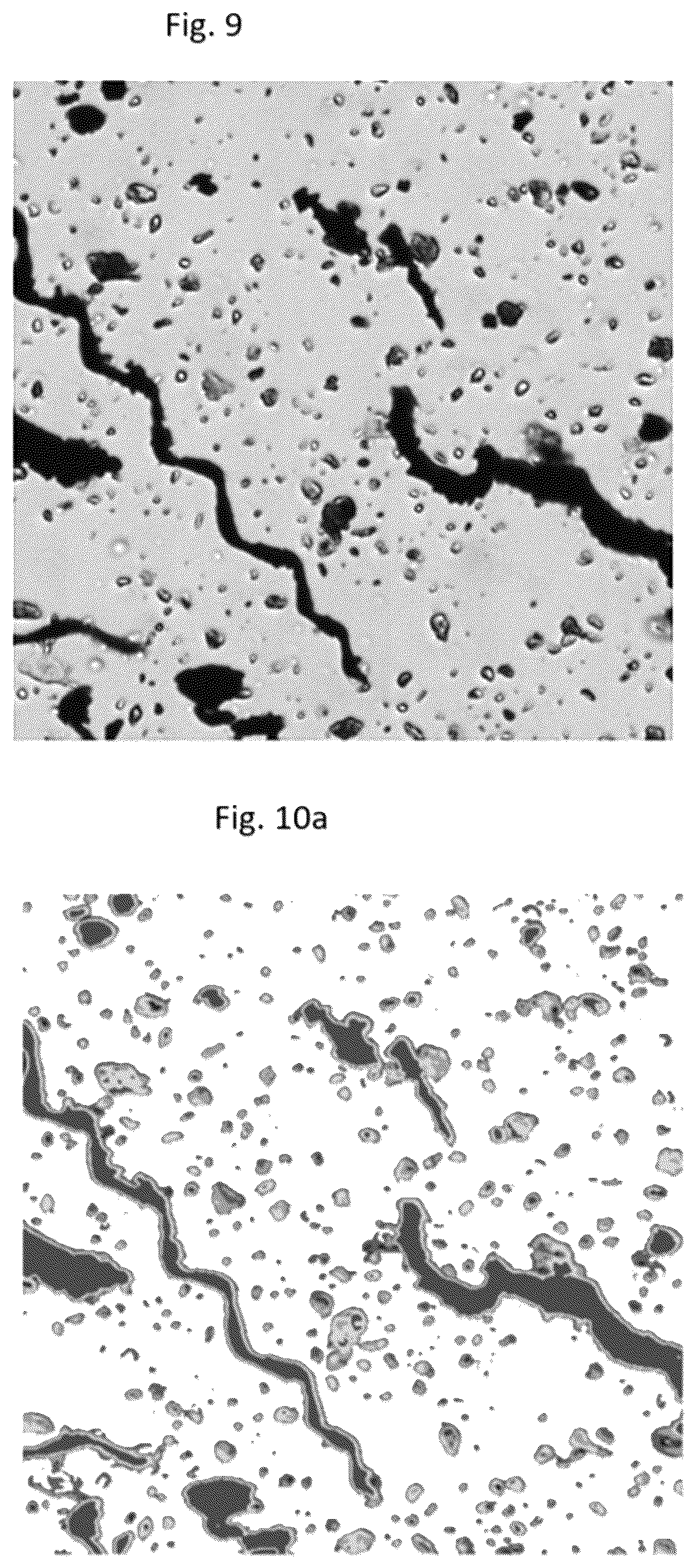 Patent US12591962 Figure 5 – Method of examining a particulate substance comprising inorganic particles, comprising determining at least one binder quality associated property