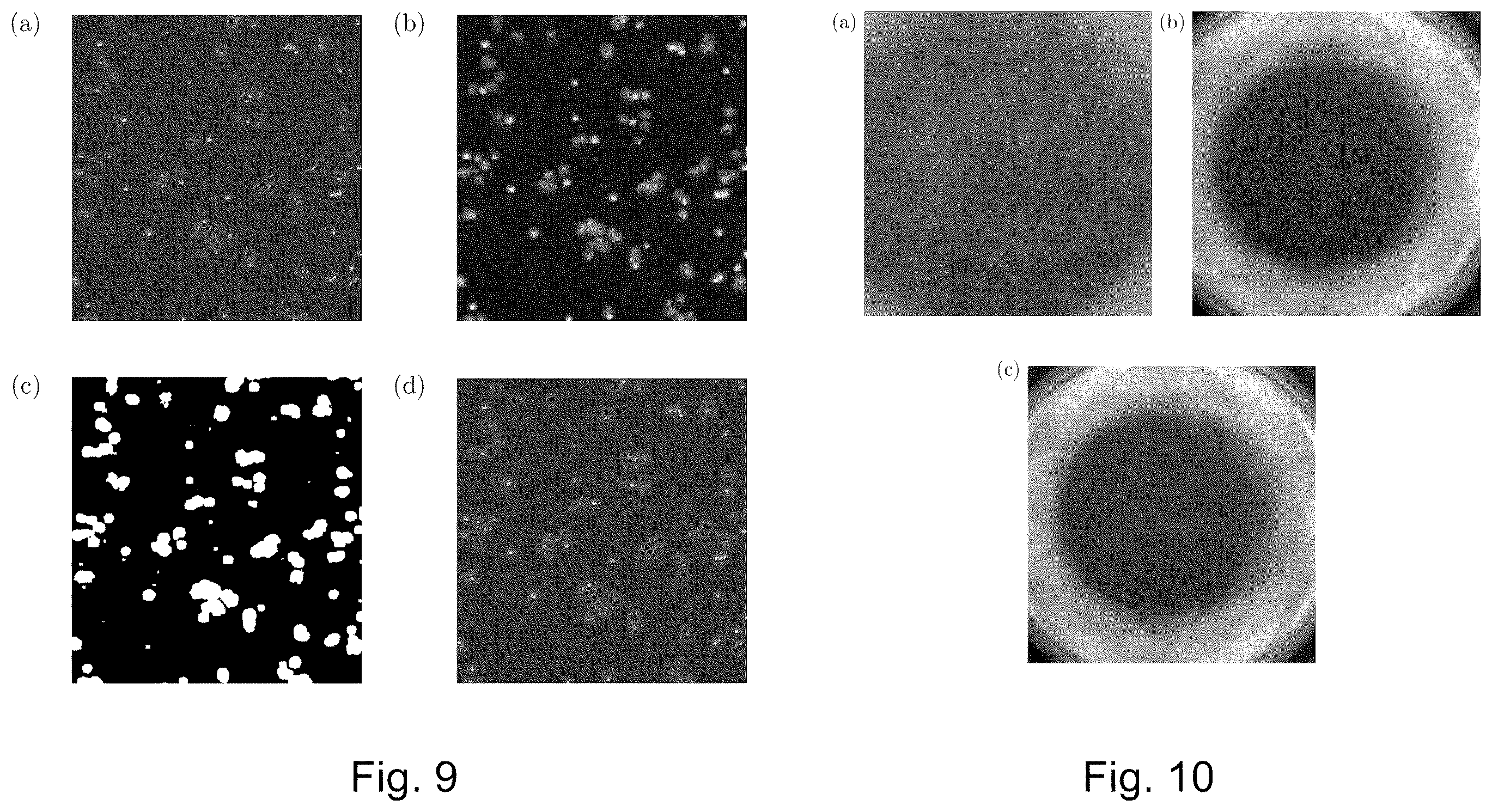 Patent US12591976 Figure 8 – Cell segmentation image processing methods