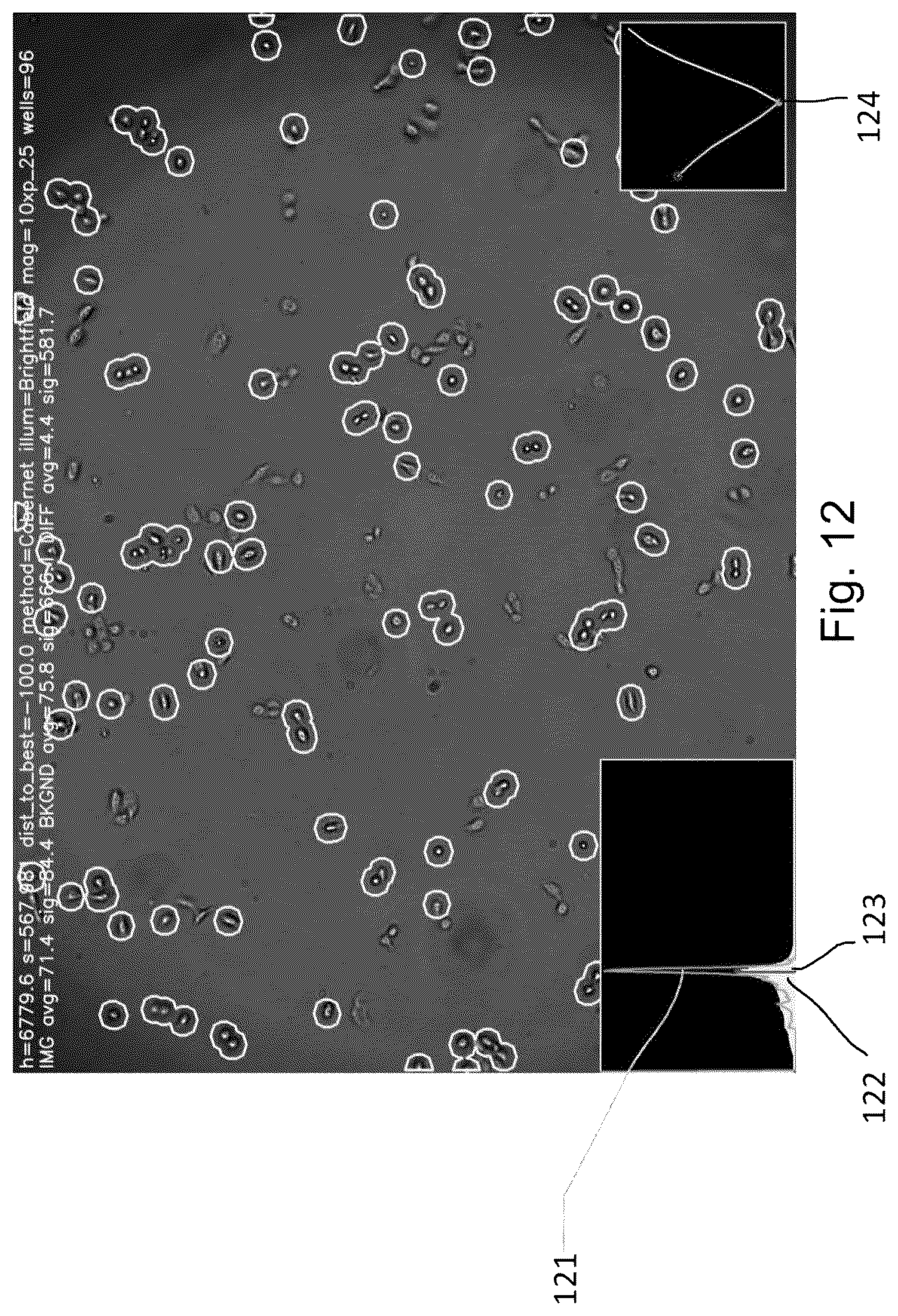 Patent US12591976 Figure 10 – Cell segmentation image processing methods