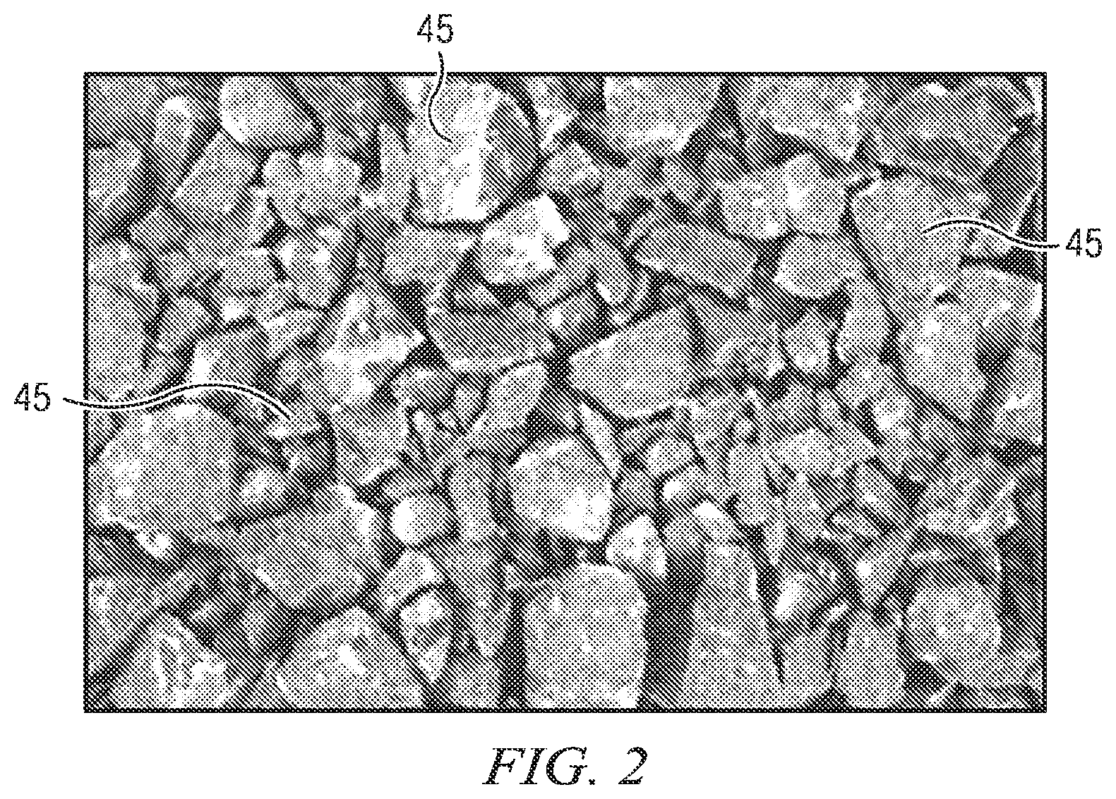 Patent US12591999 Figure 2 – System, apparatus, and method for continuous digital image calibration