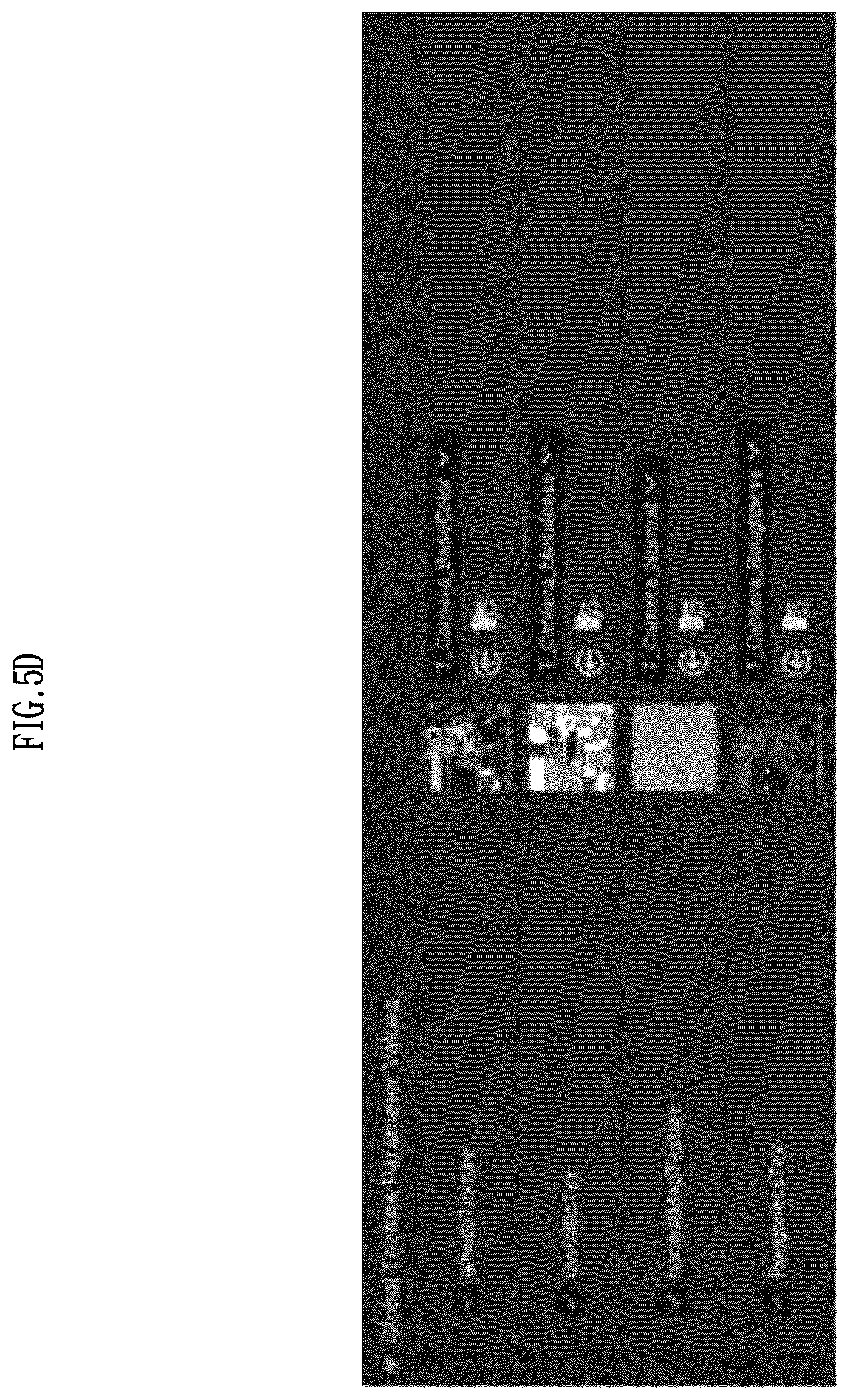 Patent US12592040 Figure 8 – Method and apparatus for metaverse performance authoring system