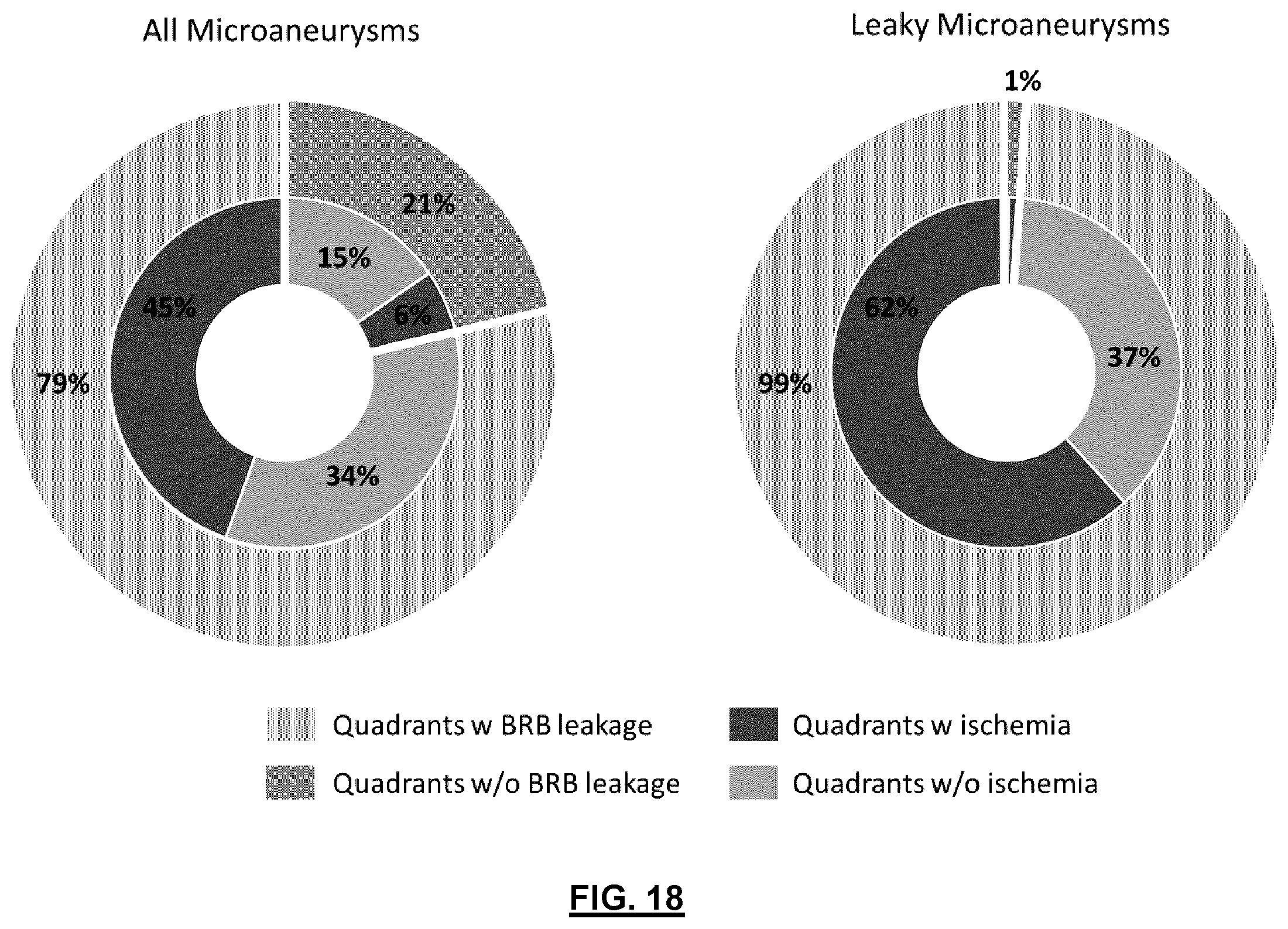 Patent US12592057 Figure 19 – System and method for detecting and classifying retinal microaneurysms