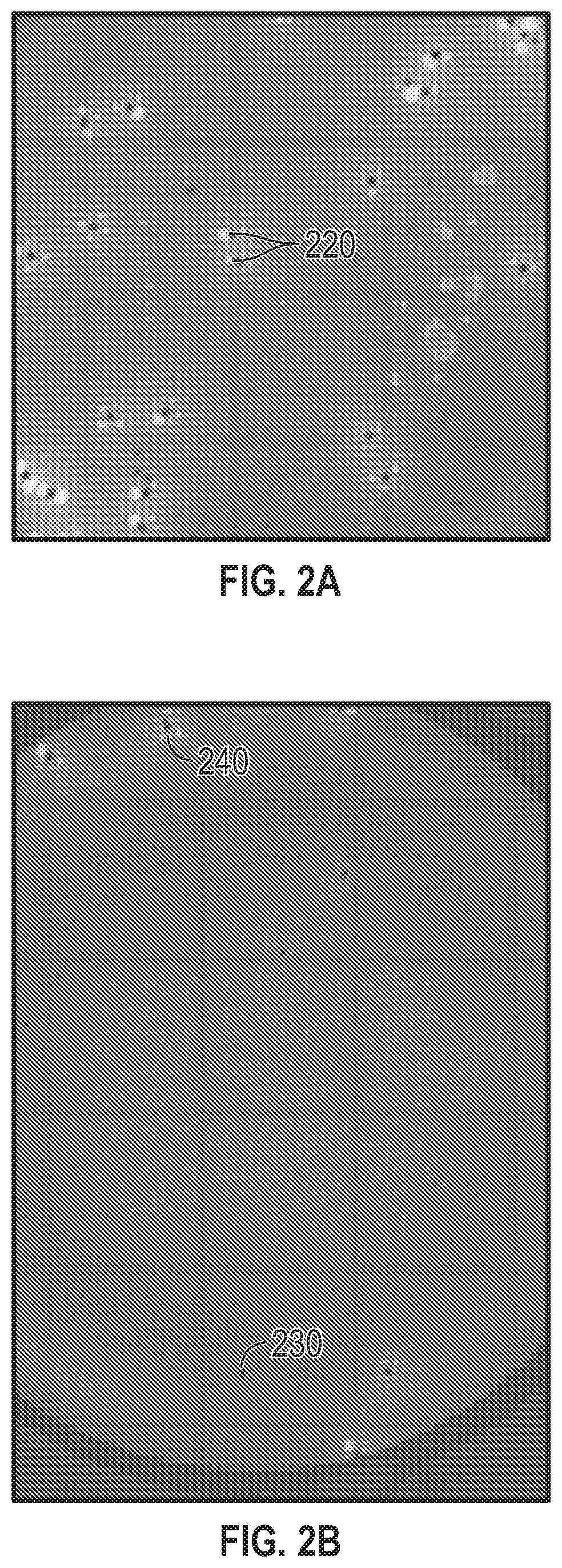 Patent US12592090 Figure 2 – Compensation of intensity variances in images used for colony enumeration