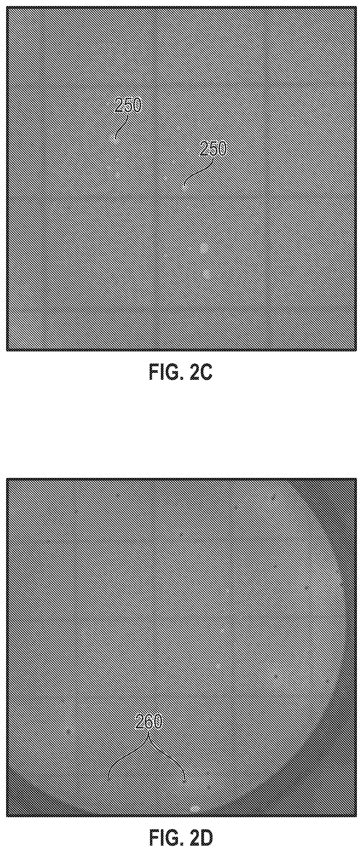 Patent US12592090 Figure 3 – Compensation of intensity variances in images used for colony enumeration