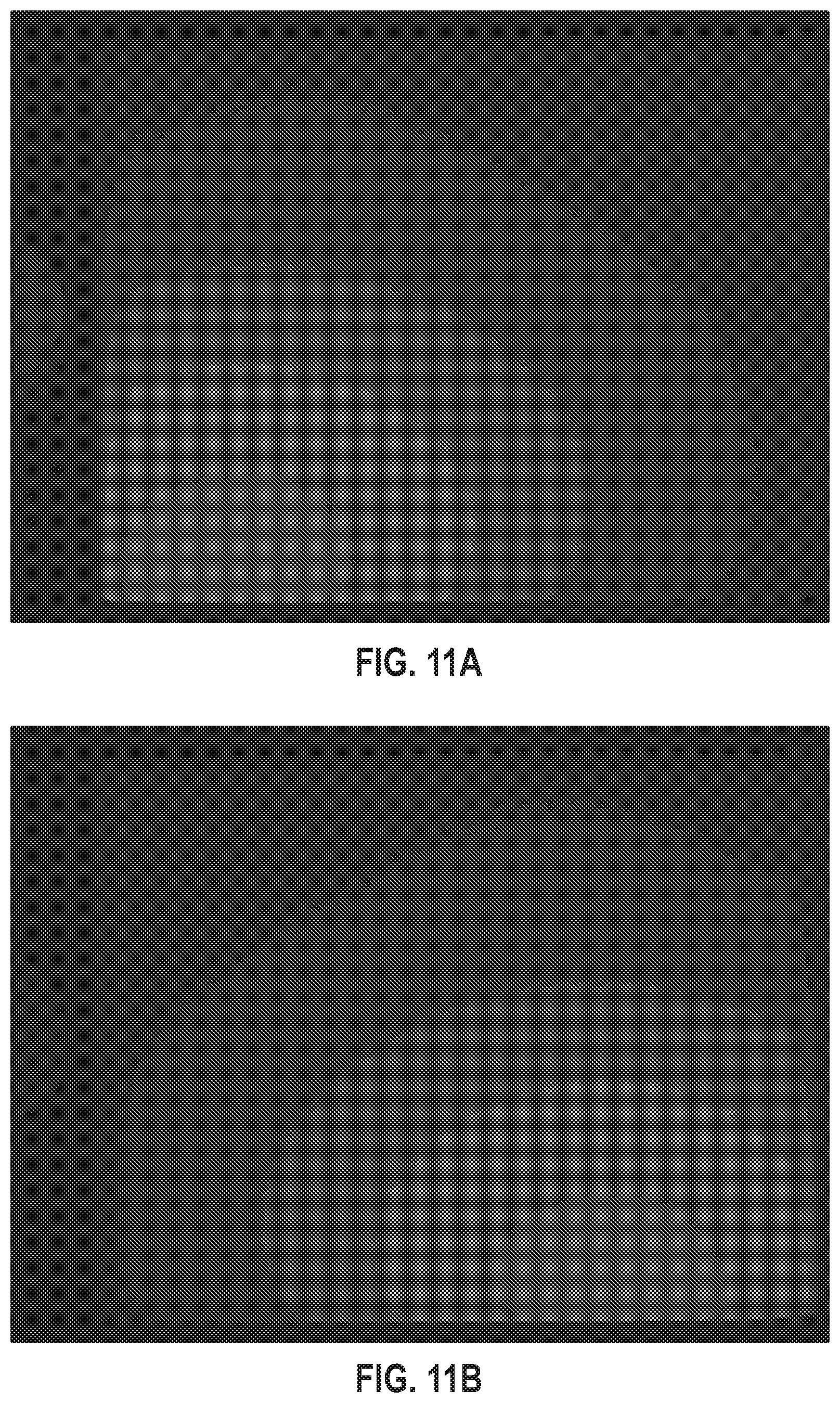 Patent US12592090 Figure 12 – Compensation of intensity variances in images used for colony enumeration