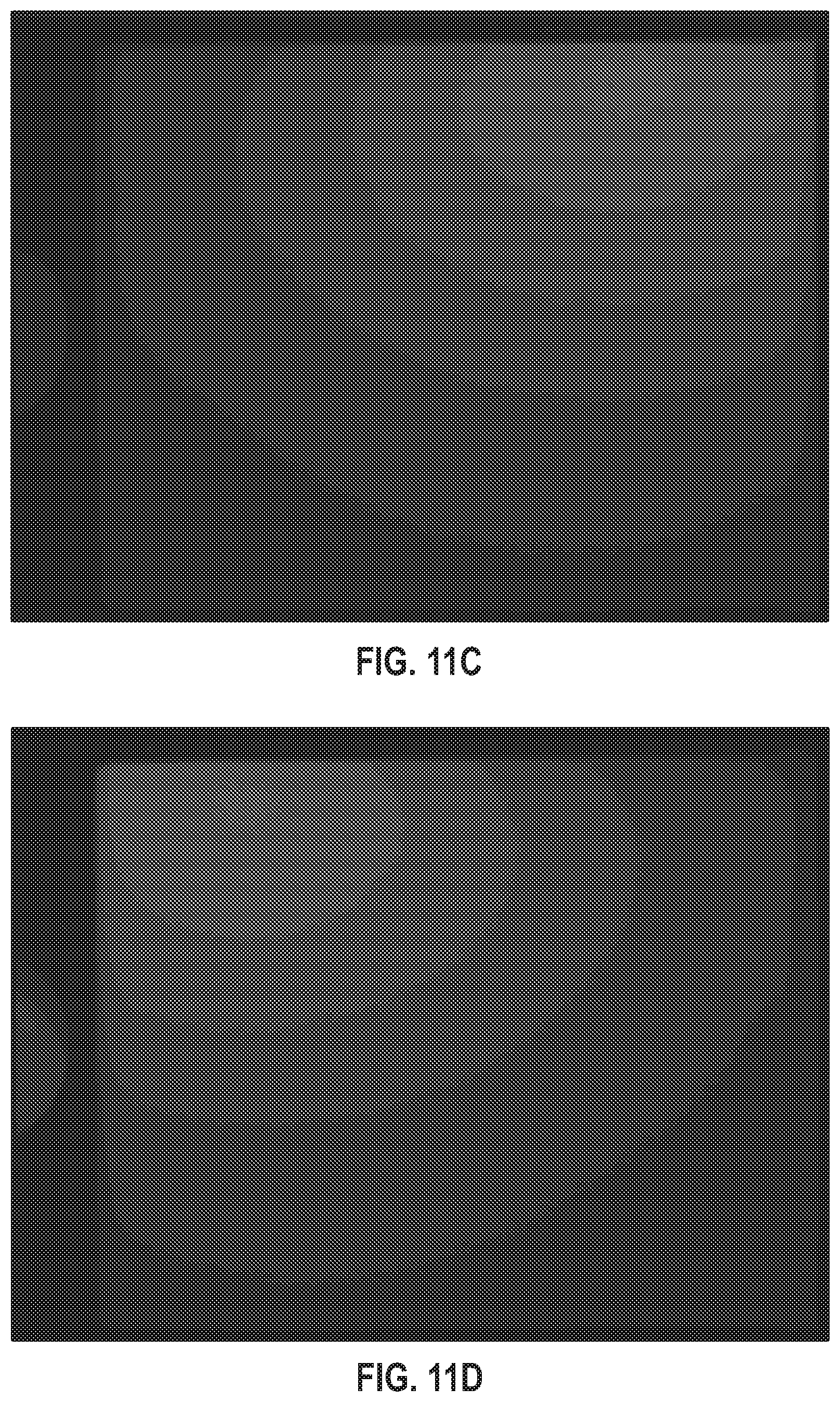 Patent US12592090 Figure 13 – Compensation of intensity variances in images used for colony enumeration