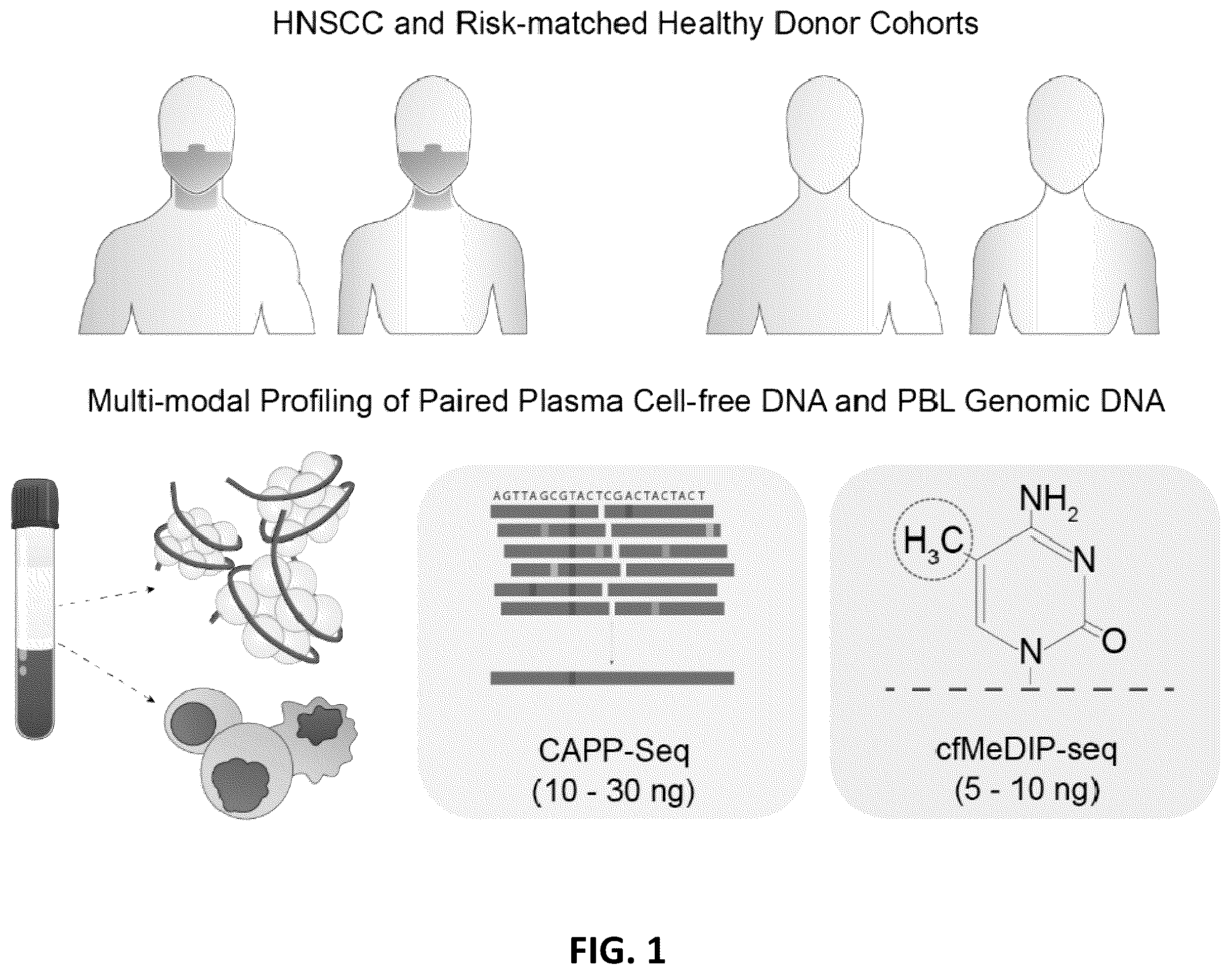 Patent US12592321 Figure 1 – Cancer detection and classification using methylome analysis