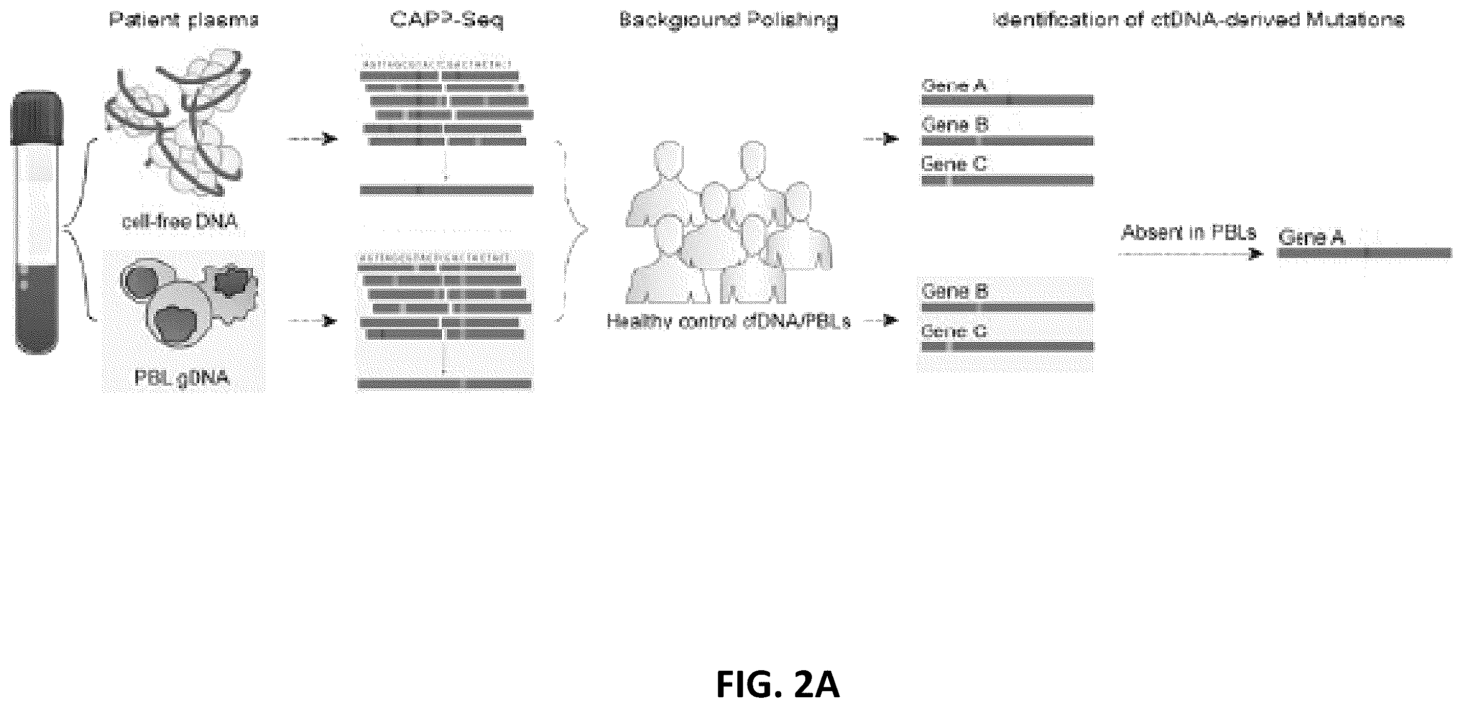 Patent US12592321 Figure 3 – Cancer detection and classification using methylome analysis