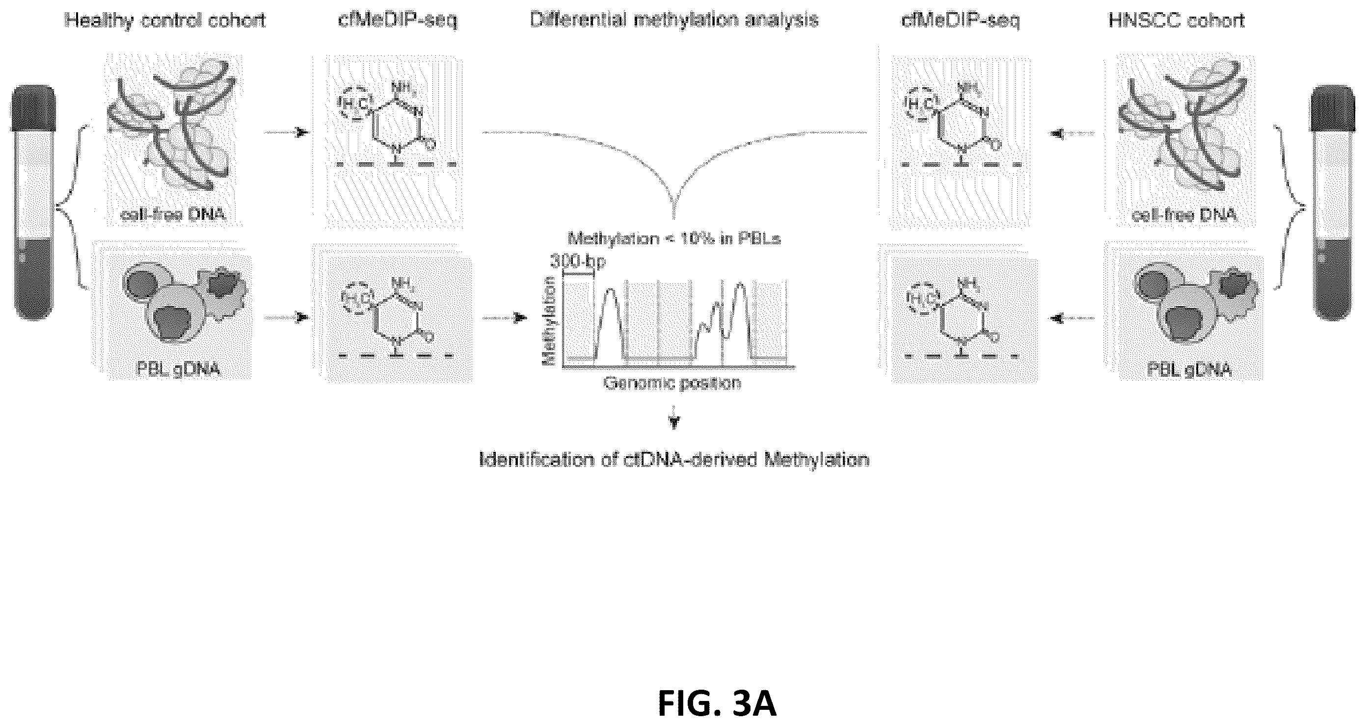 Patent US12592321 Figure 7 – Cancer detection and classification using methylome analysis
