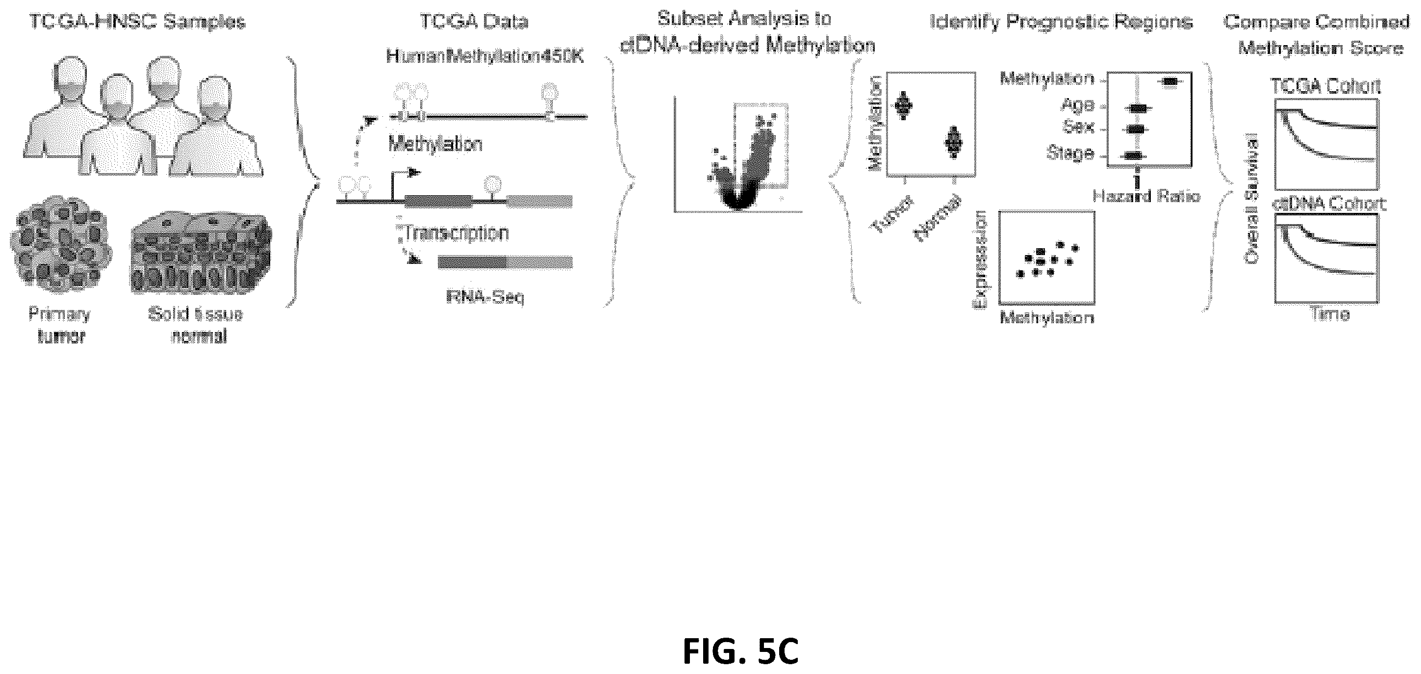 Patent US12592321 Figure 18 – Cancer detection and classification using methylome analysis