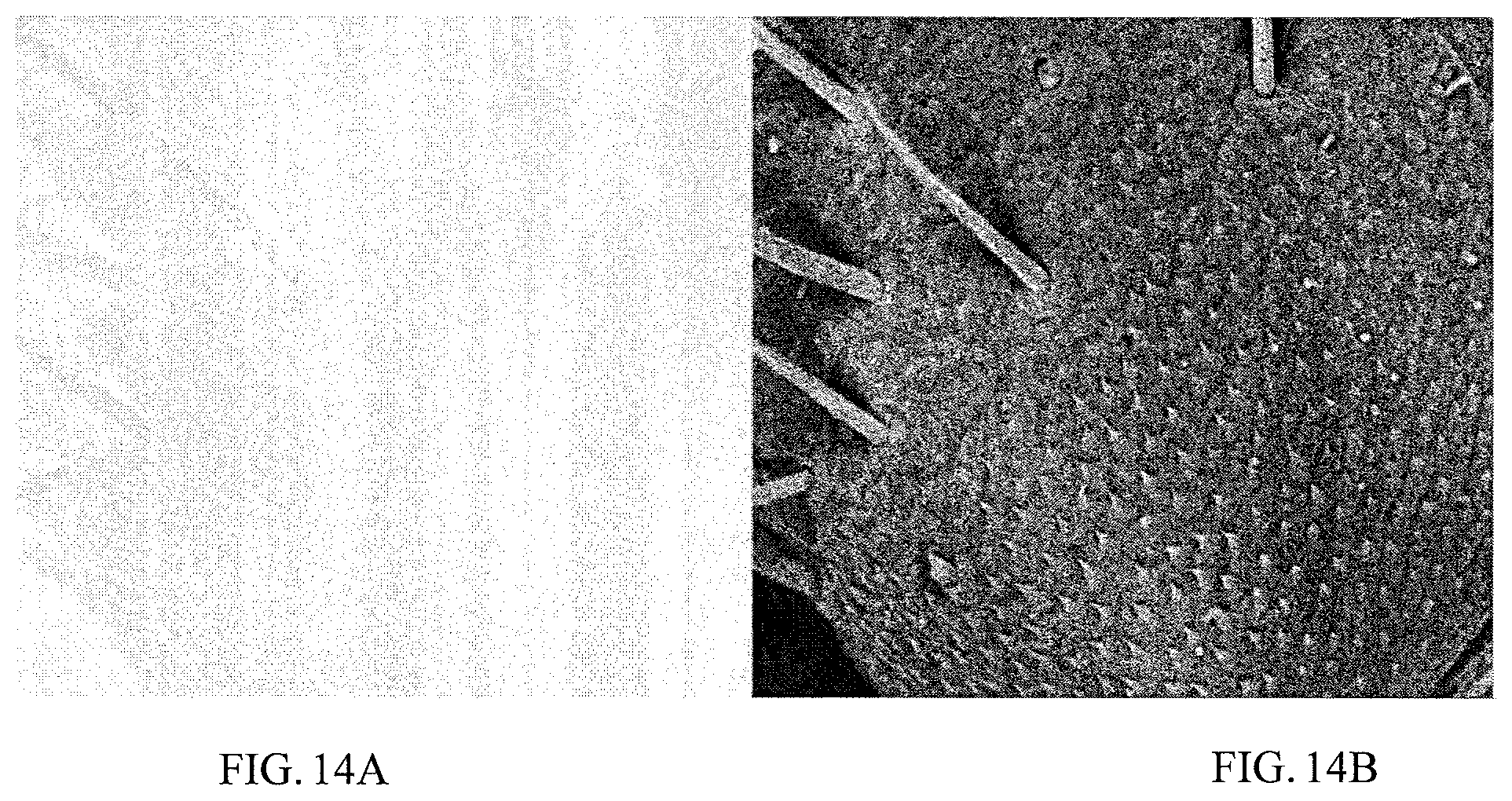 Patent US12592358 Figure 14 – Sparse sampling using a programmatically randomized signal modulating a carrier signal