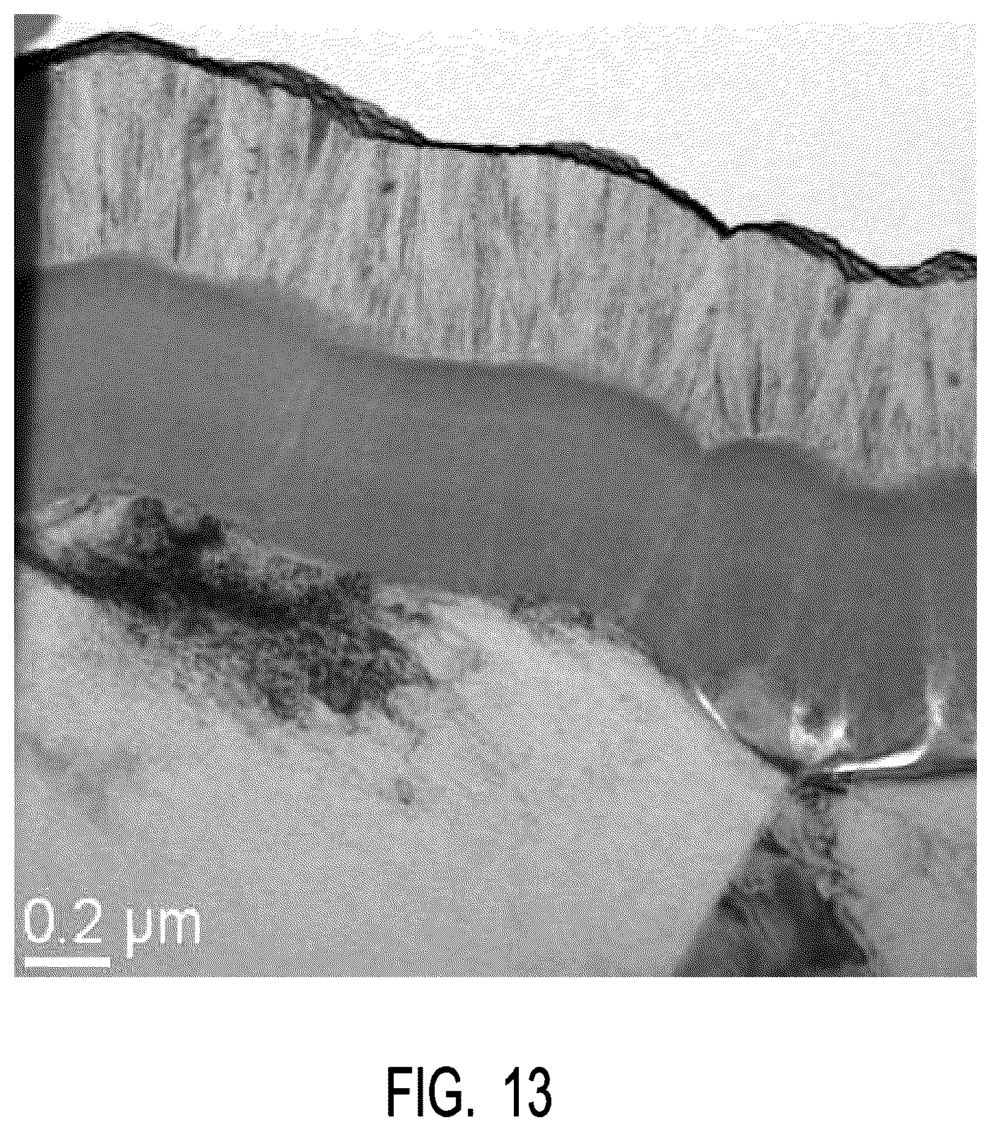 Patent US12592364 Figure 17 – Fluoride coating to improve chamber performance