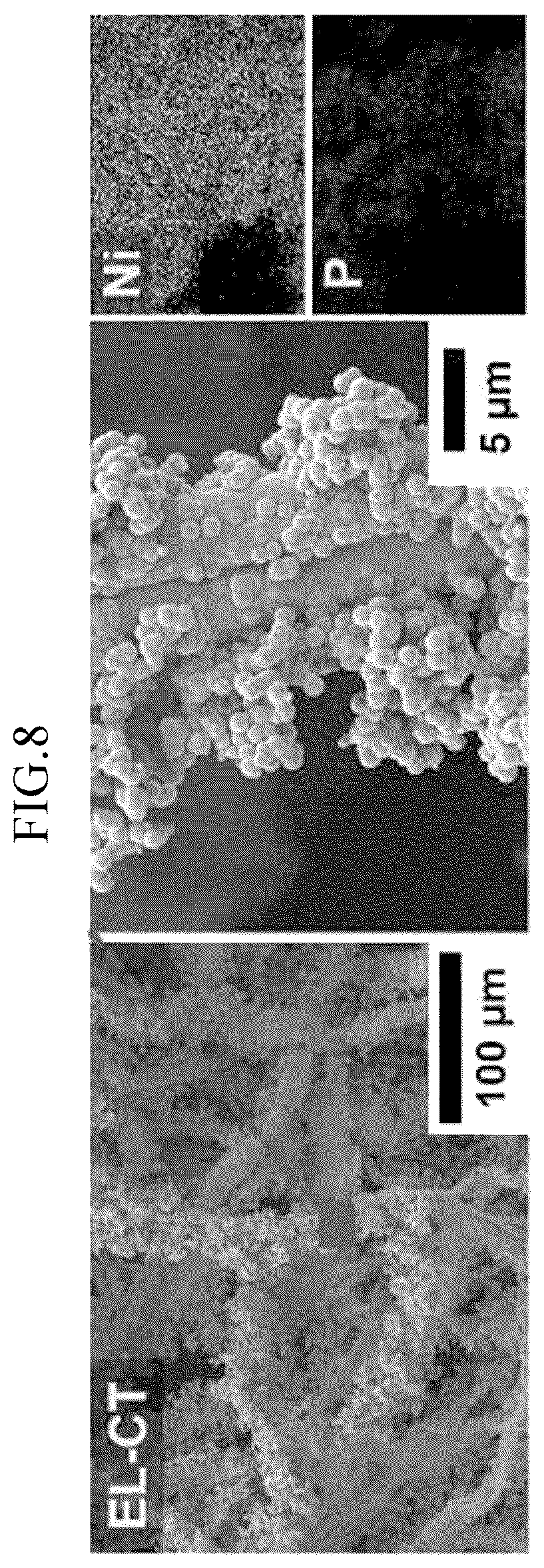 Patent US12592375 Figure 10 – Lithium-sulfur battery cathode using fabric material, lithium-sulfur battery comprising same, and manufacturing method therefor