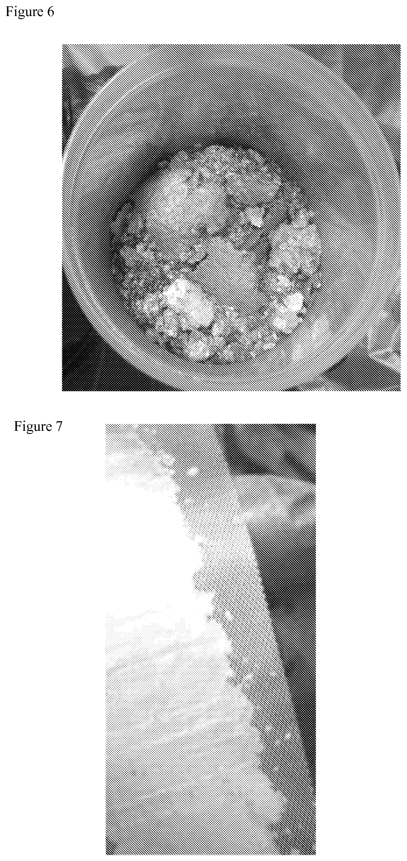 Patent US12592379 Figure 4 – Anode material and anode for a rechargeable battery, a method of production thereof and an electrochemical cell made therefrom