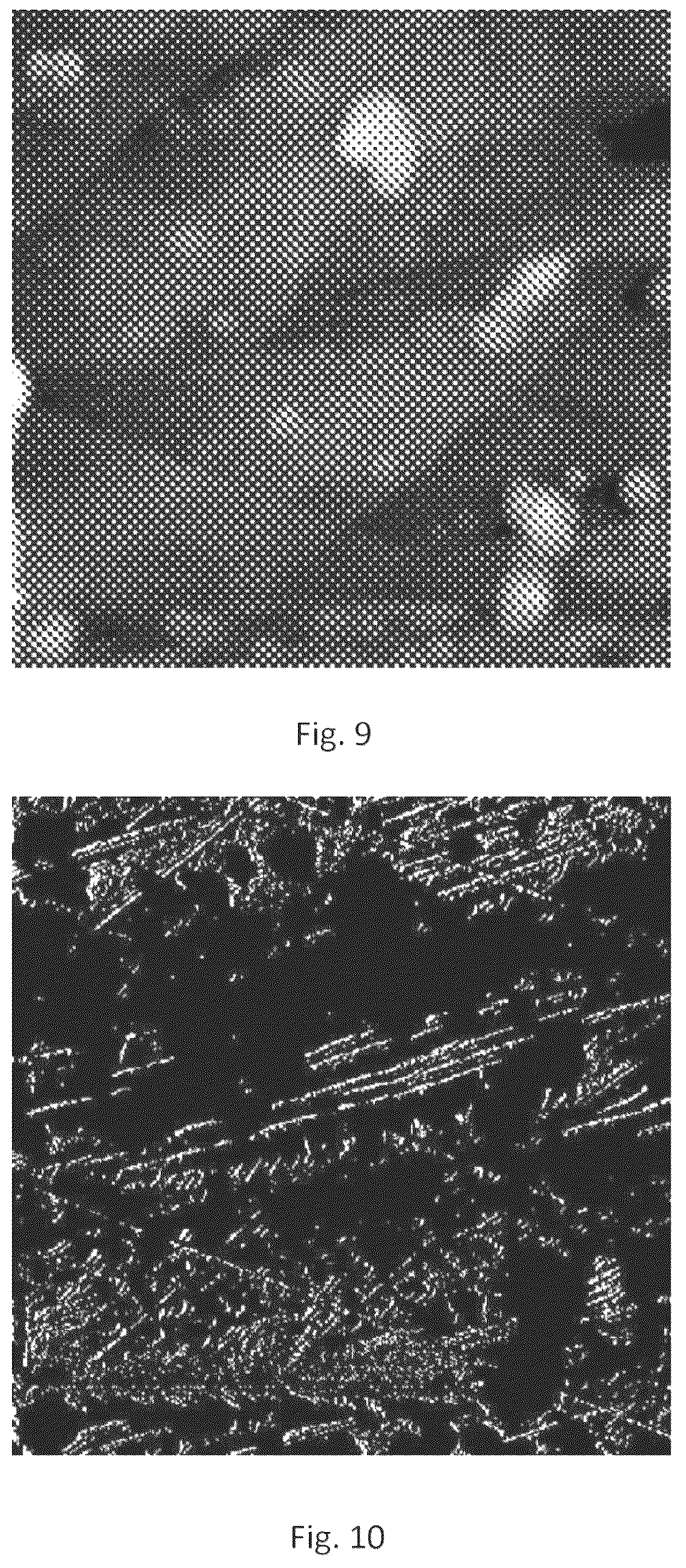 Patent US12592396 Figure 9 – Laser-surface-treated separator plate, method for producing same, and methods for characterizing same