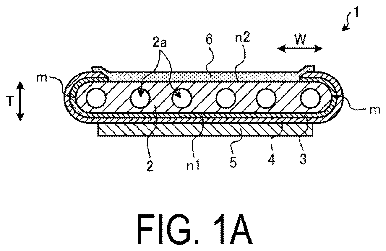 Patent US12592400 Figure 1 – Cell stack device, module, and module housing device