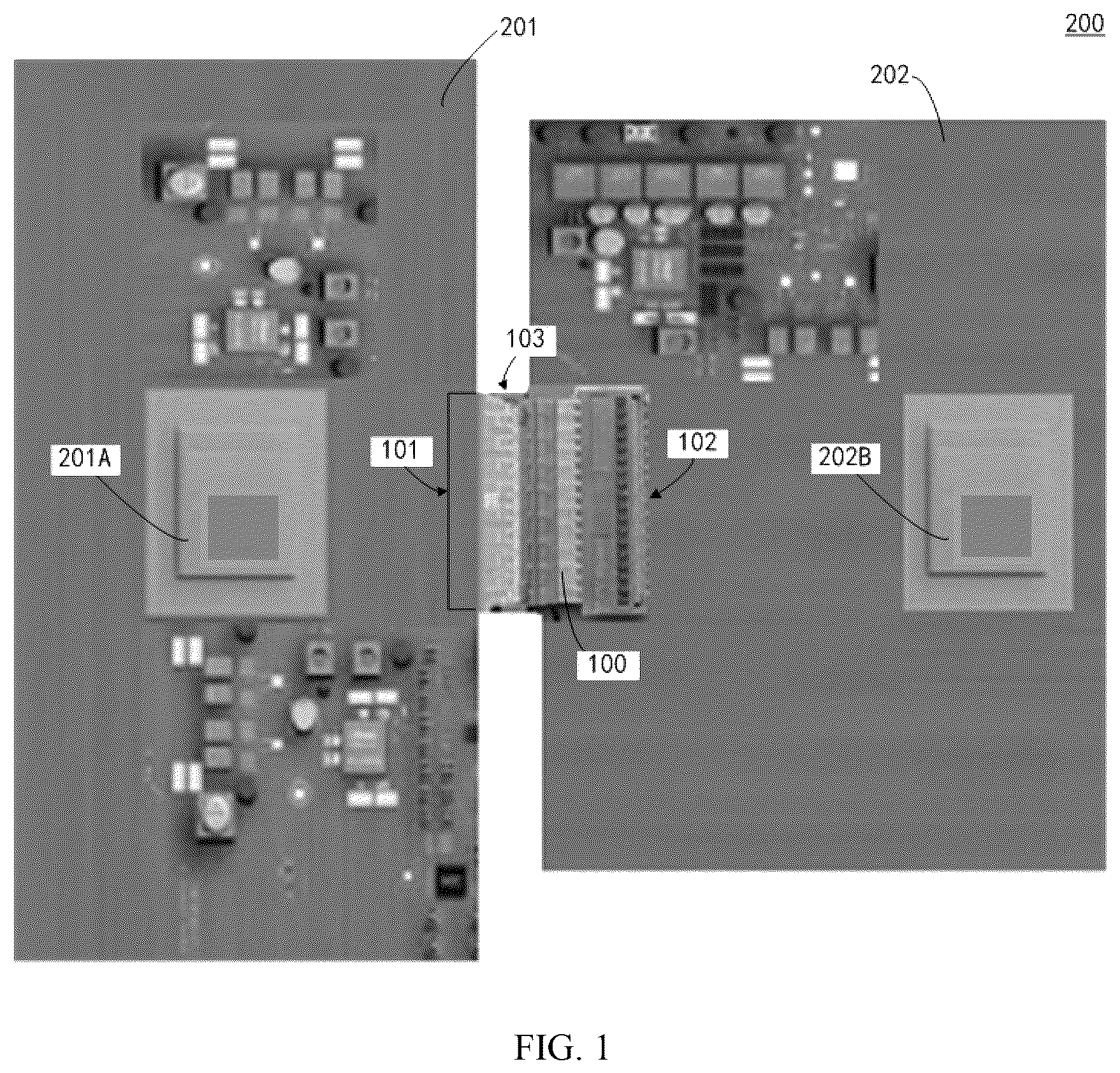 Patent US12592524 Figure 1 – Connector and electronic device