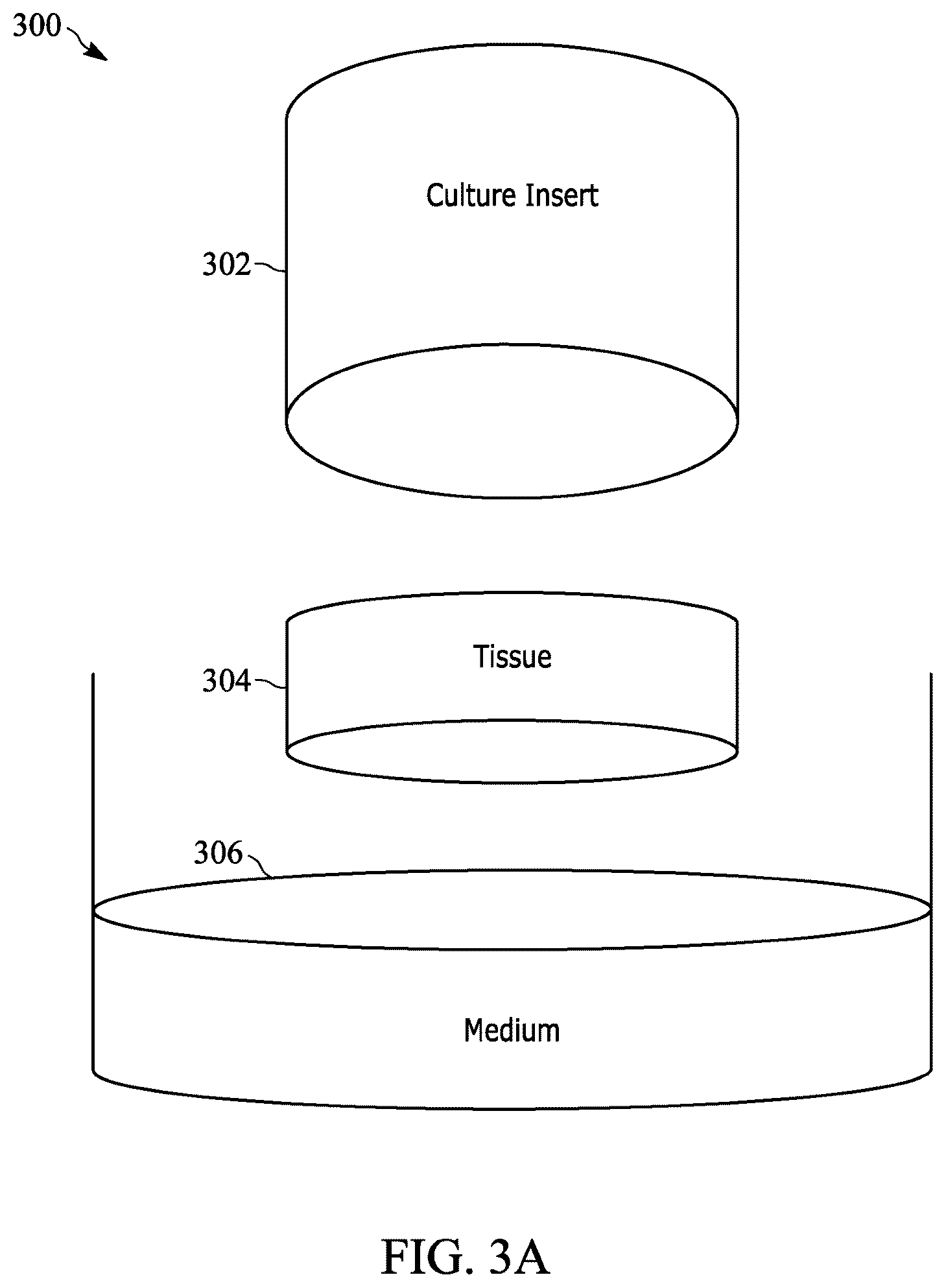 Patent US12597128 Figure 3 – Assessment of skin toxicity in an in vitro tissue samples using deep learning
