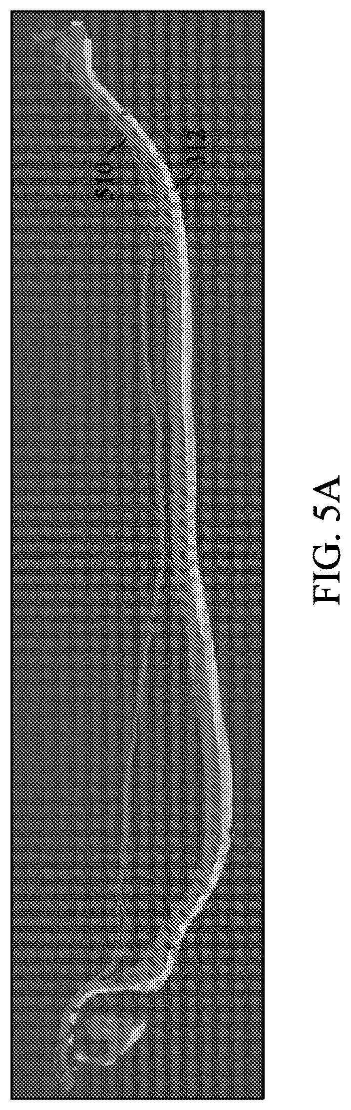 Patent US12597128 Figure 8 – Assessment of skin toxicity in an in vitro tissue samples using deep learning