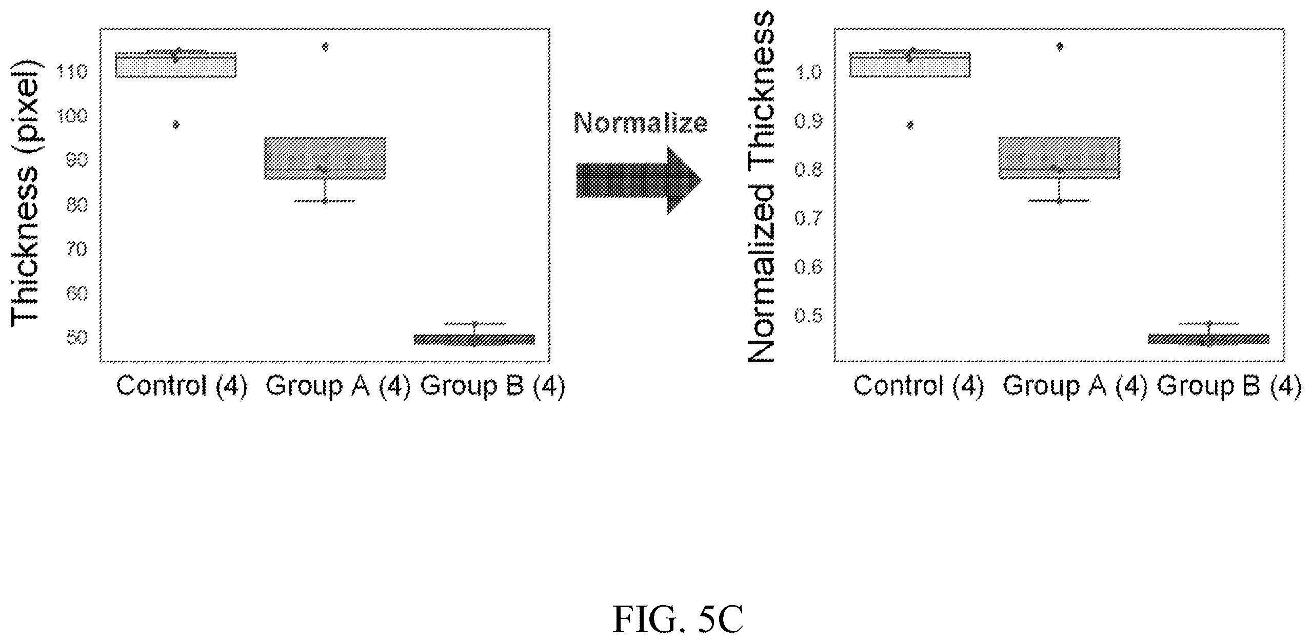 Patent US12597128 Figure 10 – Assessment of skin toxicity in an in vitro tissue samples using deep learning