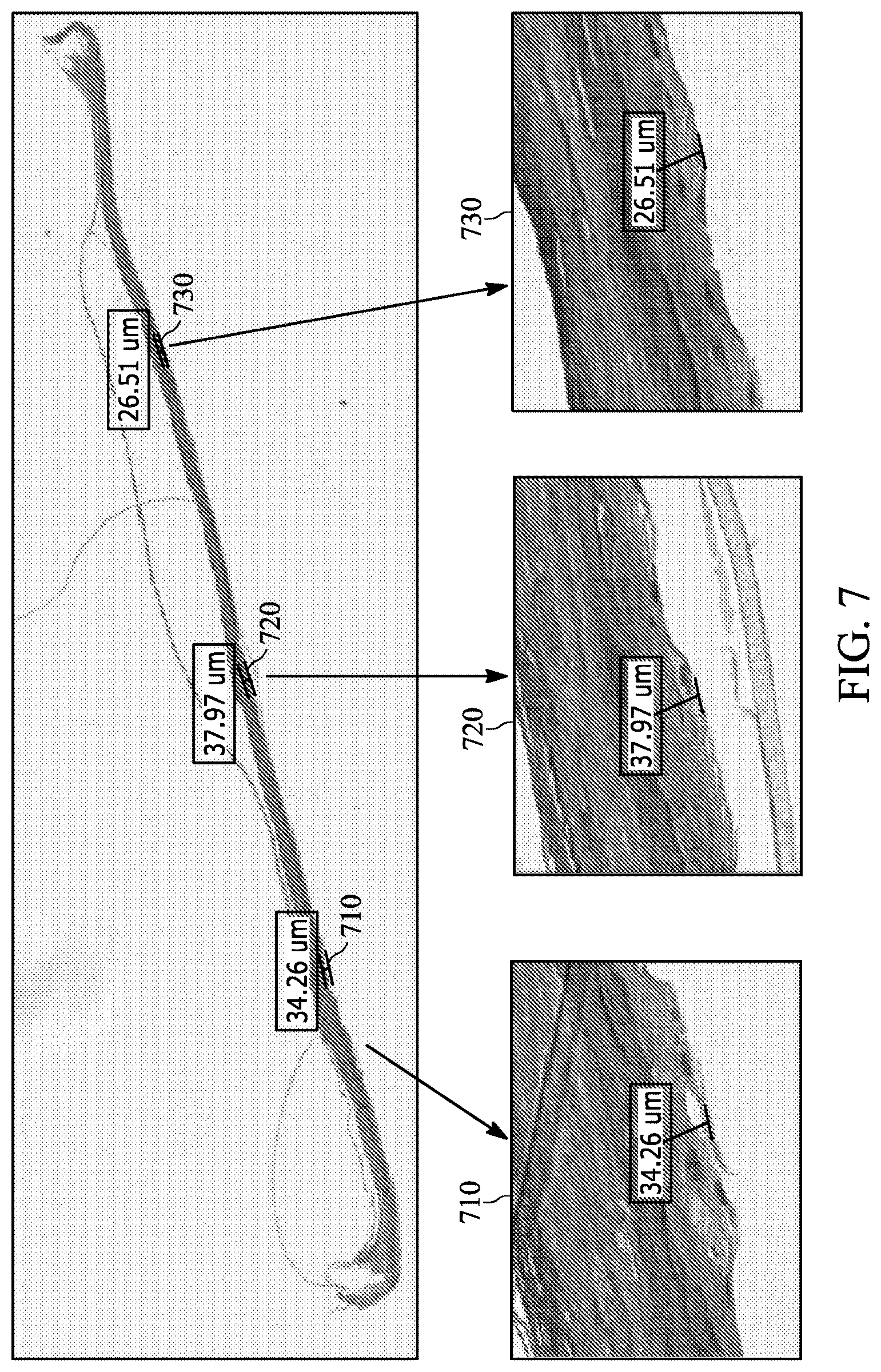 Patent US12597128 Figure 12 – Assessment of skin toxicity in an in vitro tissue samples using deep learning