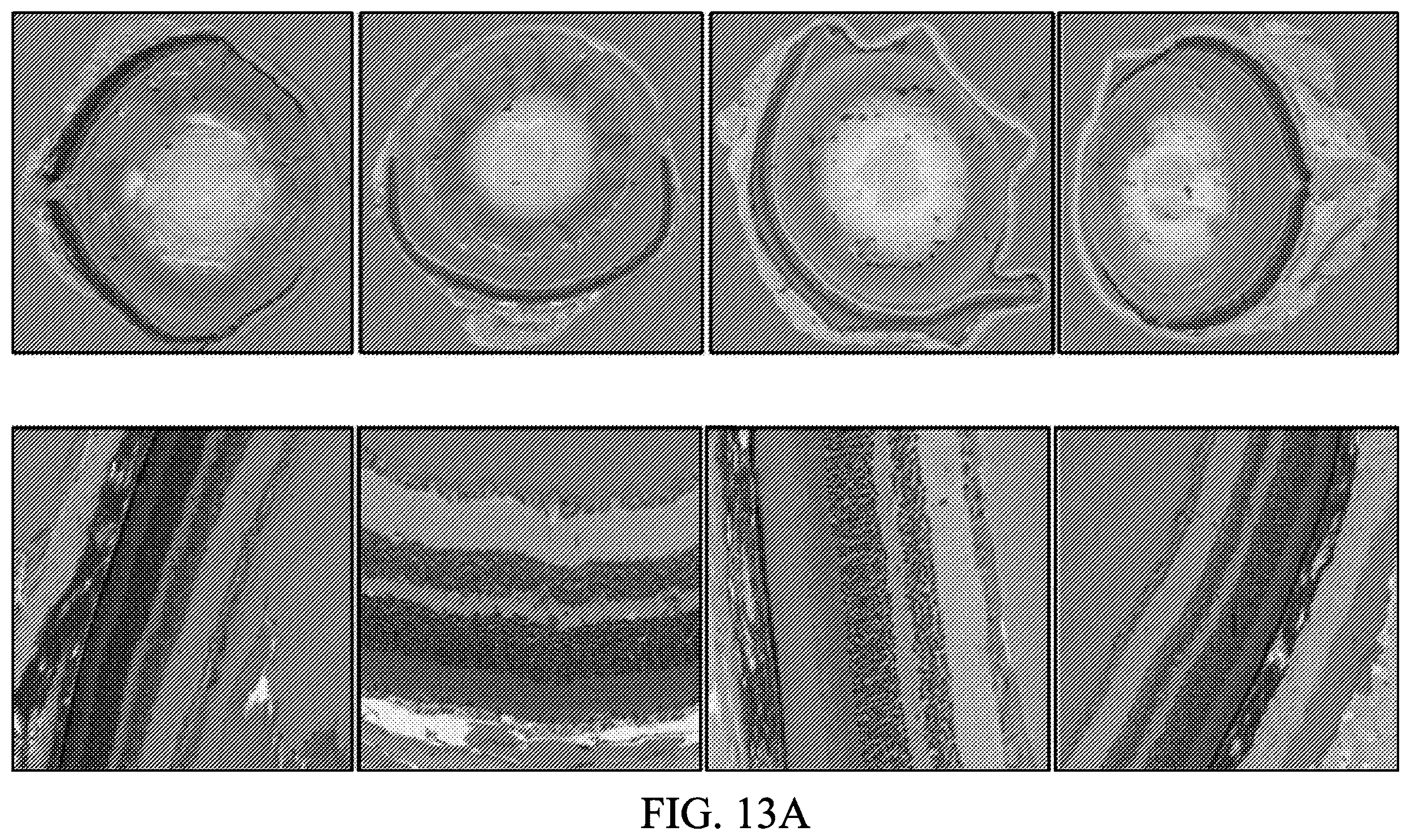 Patent US12597128 Figure 19 – Assessment of skin toxicity in an in vitro tissue samples using deep learning