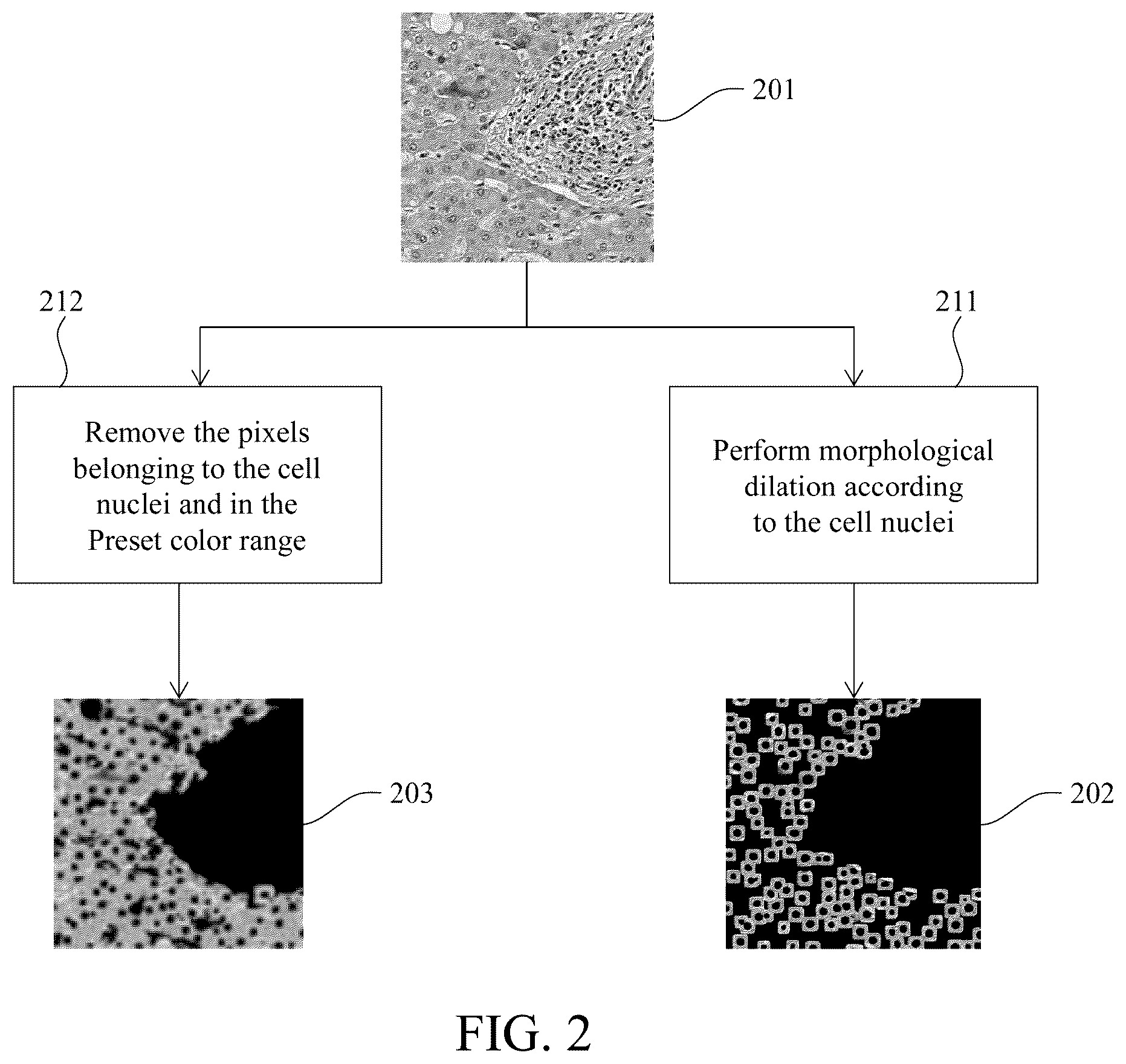 Patent US12597129 Figure 2 – Method for analyzing immunohistochemistry images