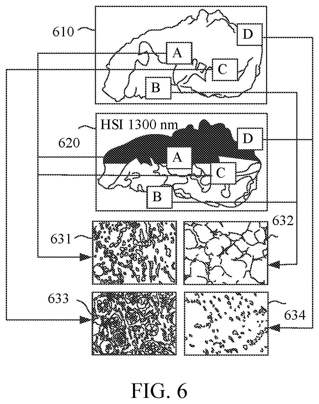 Patent US12597132 Figure 5 – Image processing method and apparatus