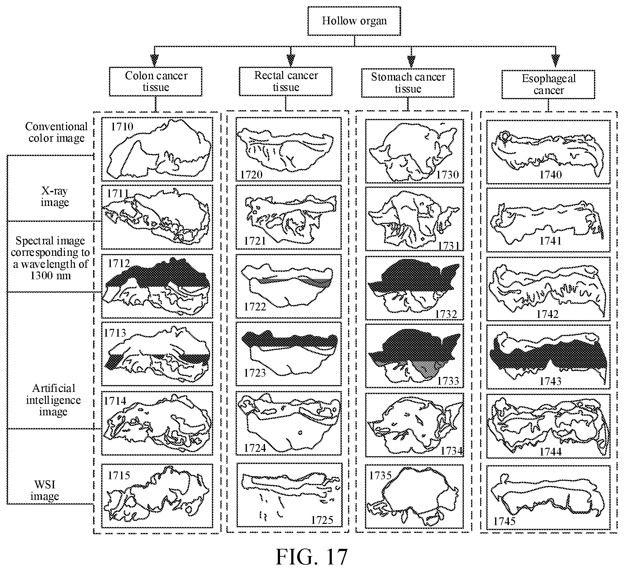 Patent US12597132 Figure 12 – Image processing method and apparatus