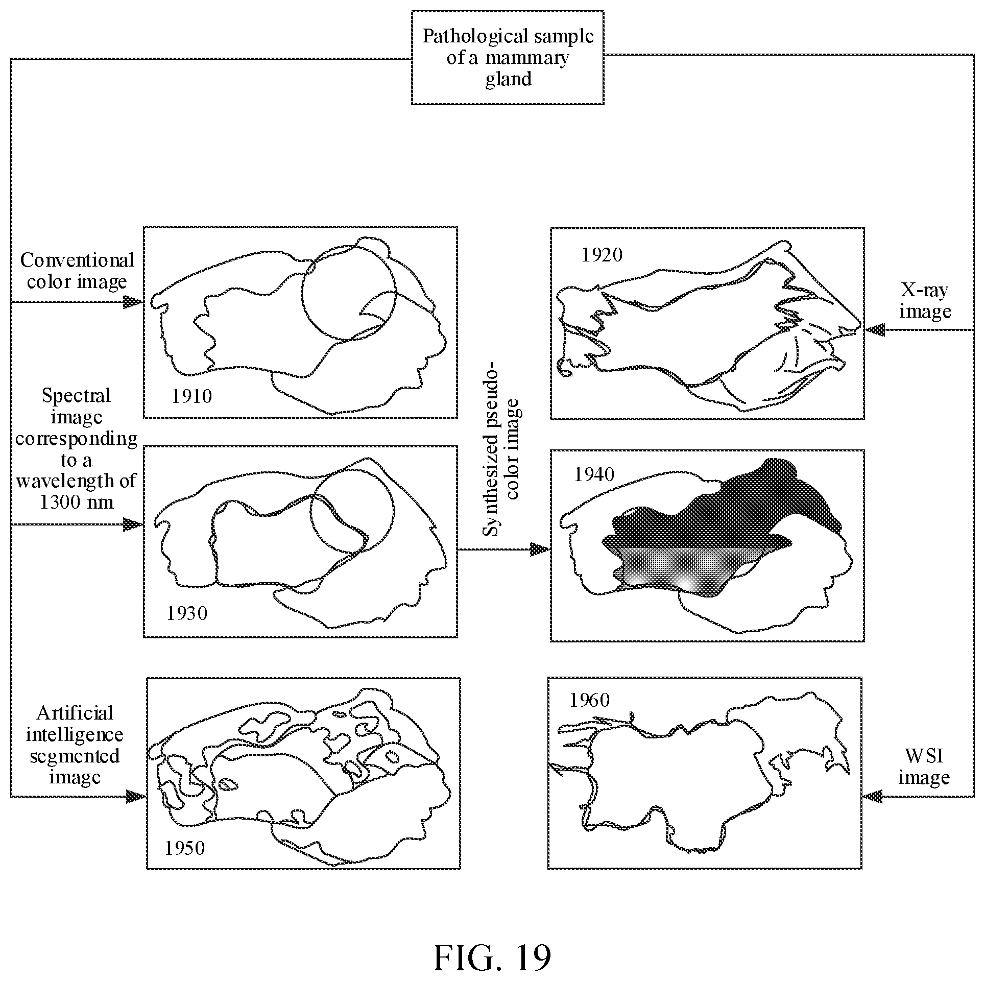 Patent US12597132 Figure 14 – Image processing method and apparatus
