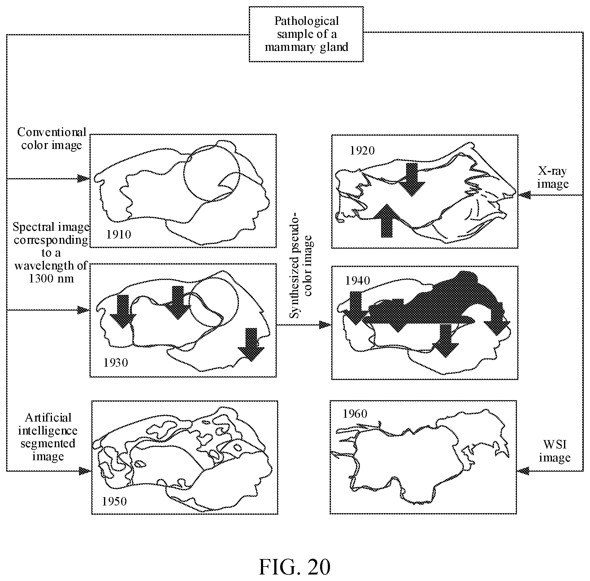 Patent US12597132 Figure 15 – Image processing method and apparatus